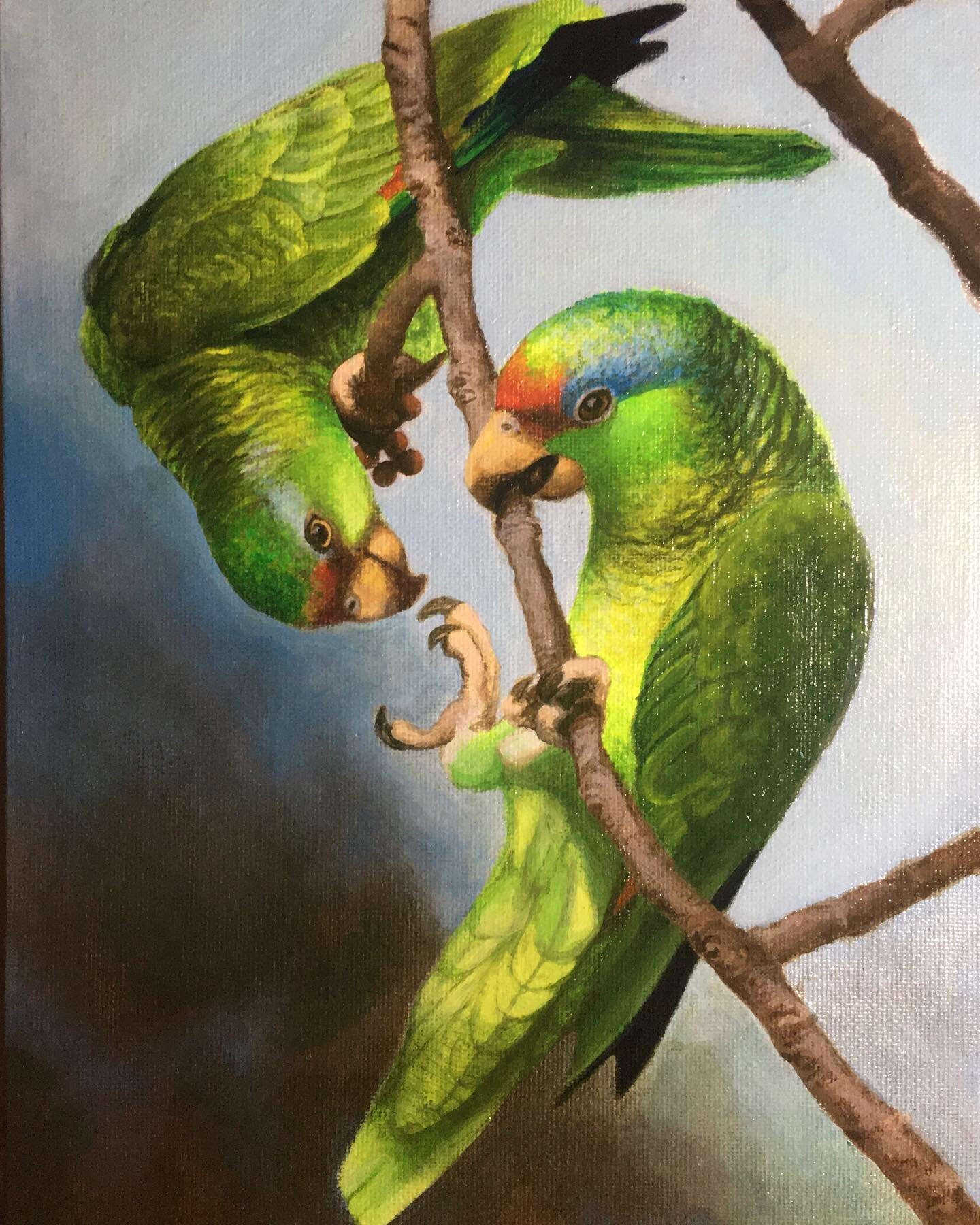 Some playful parrots I painted for someone special. #acrylic #acrylicpainting #acrylicpaintings #parrots #painting #birds #parrotlove #jeanettemadethis #jaylilliane #birding #birdsofinstagram #birdart #sandiego #sandiegoart #sandiegoartist #fineart