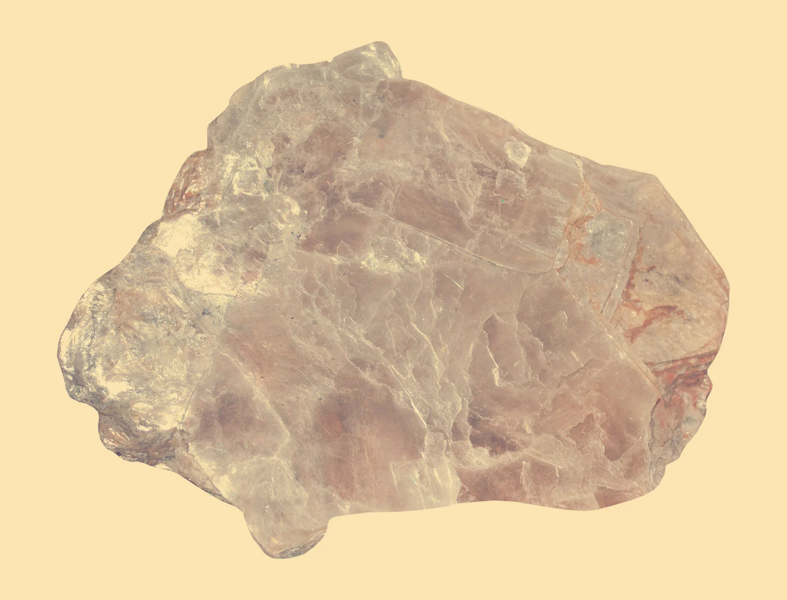 Muscovite