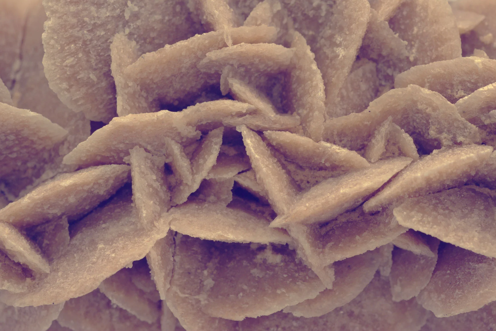 Desert Rose (Selenite)