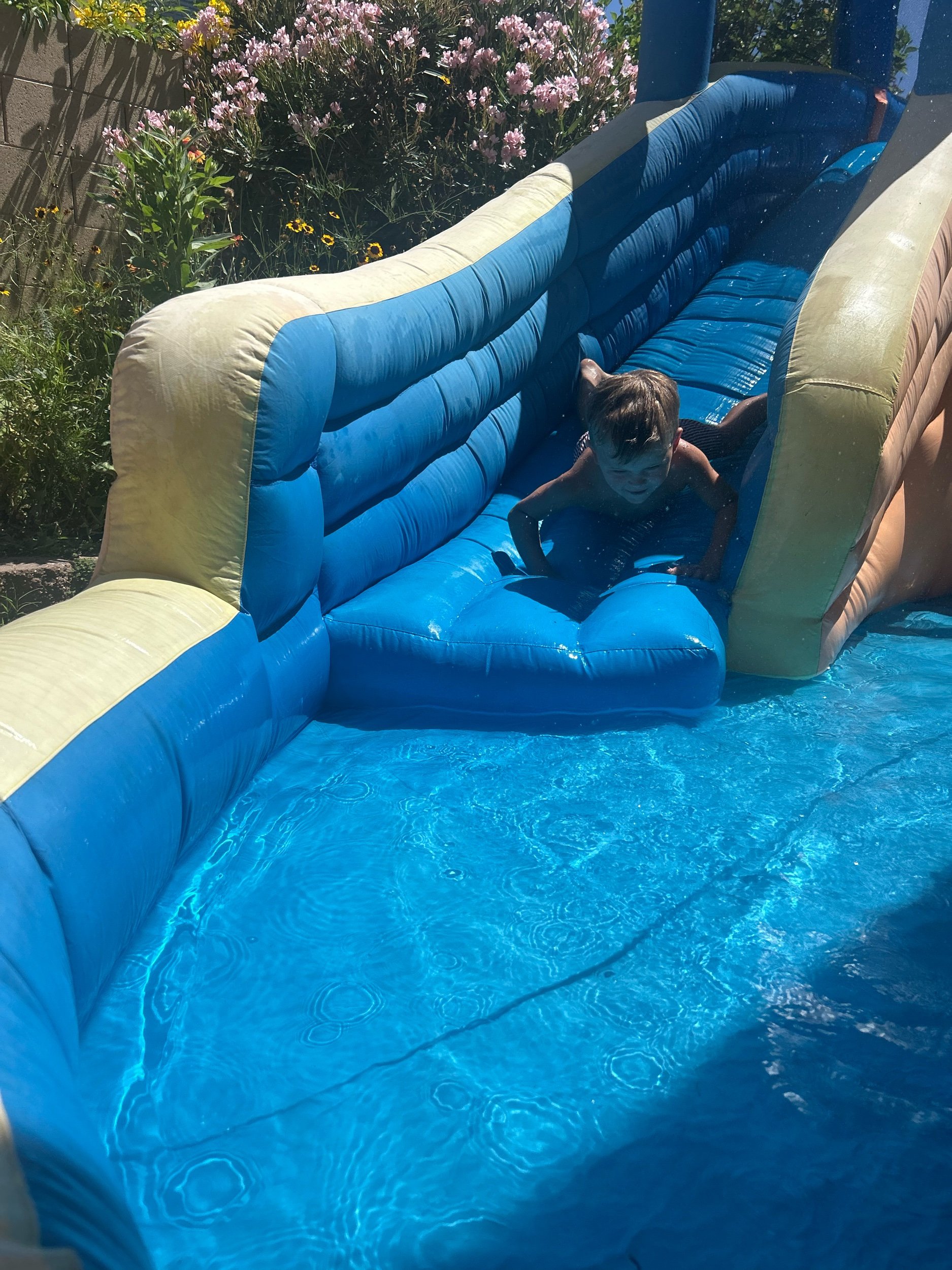 IMG_7416.jpeg