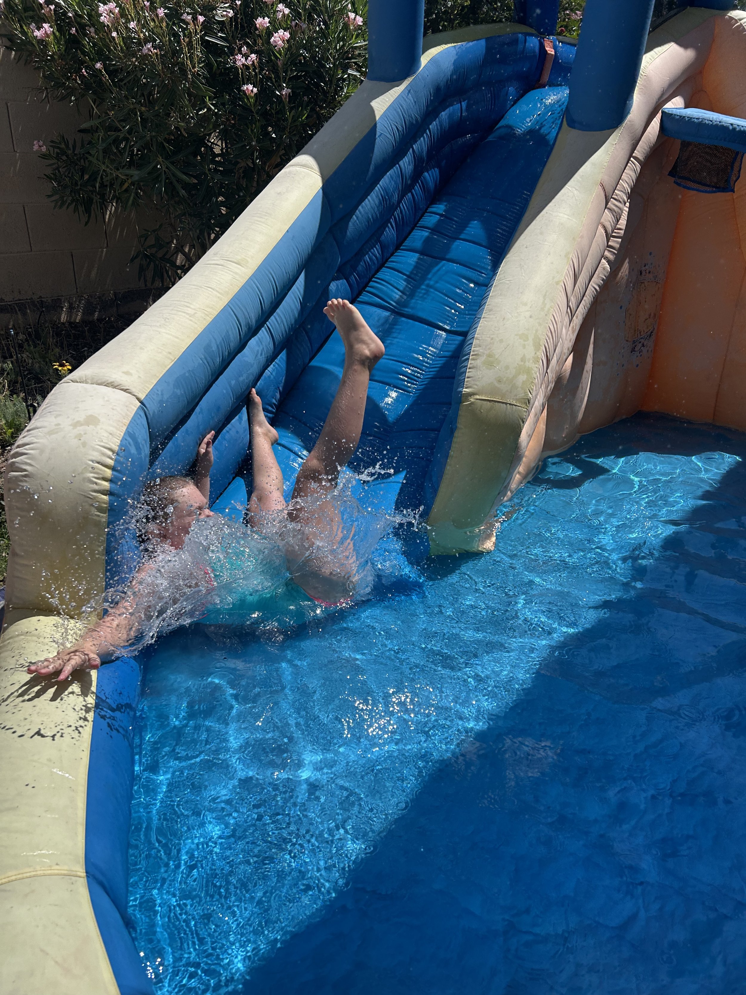 IMG_2412.jpeg