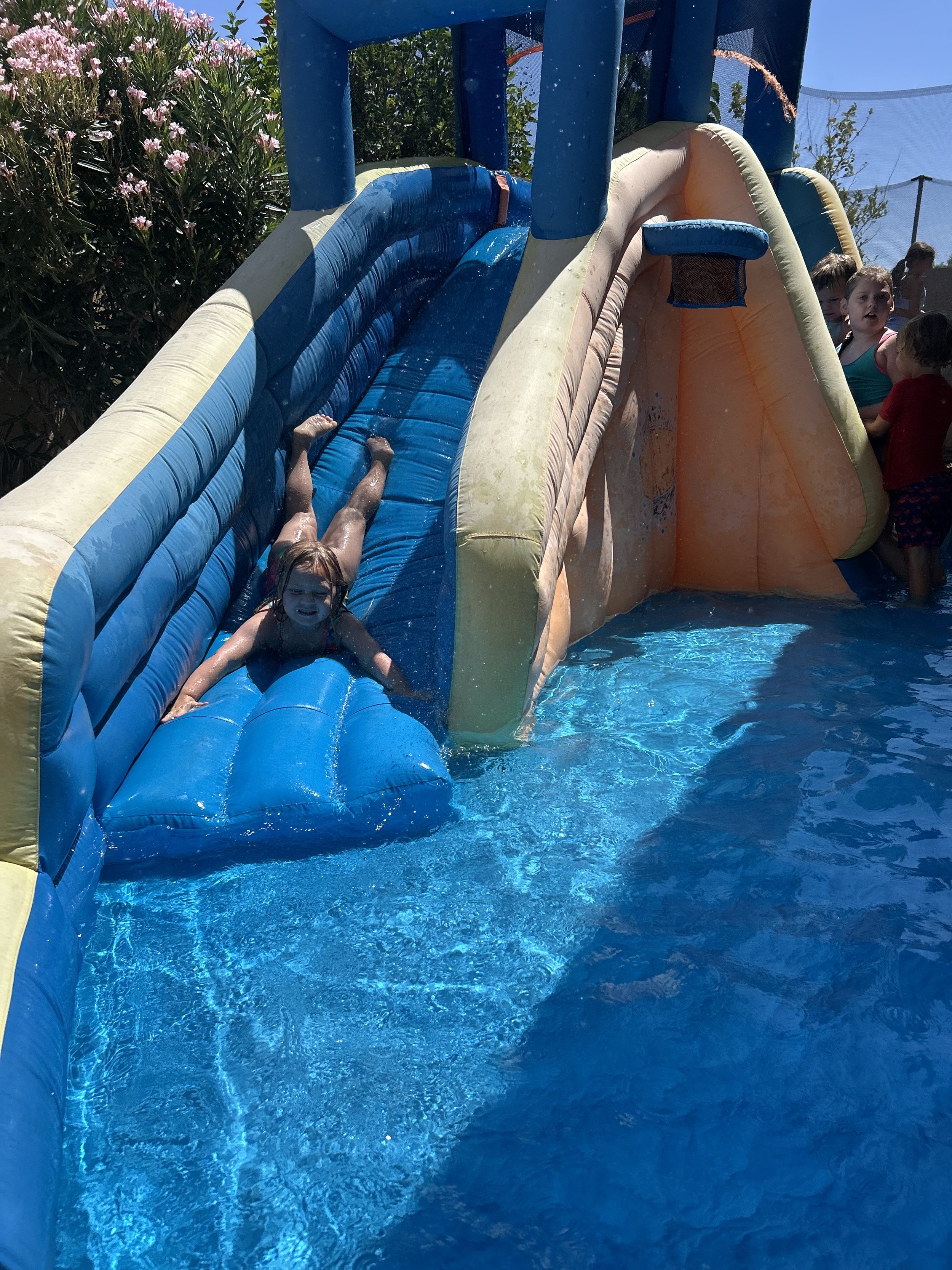 IMG_2420.jpeg