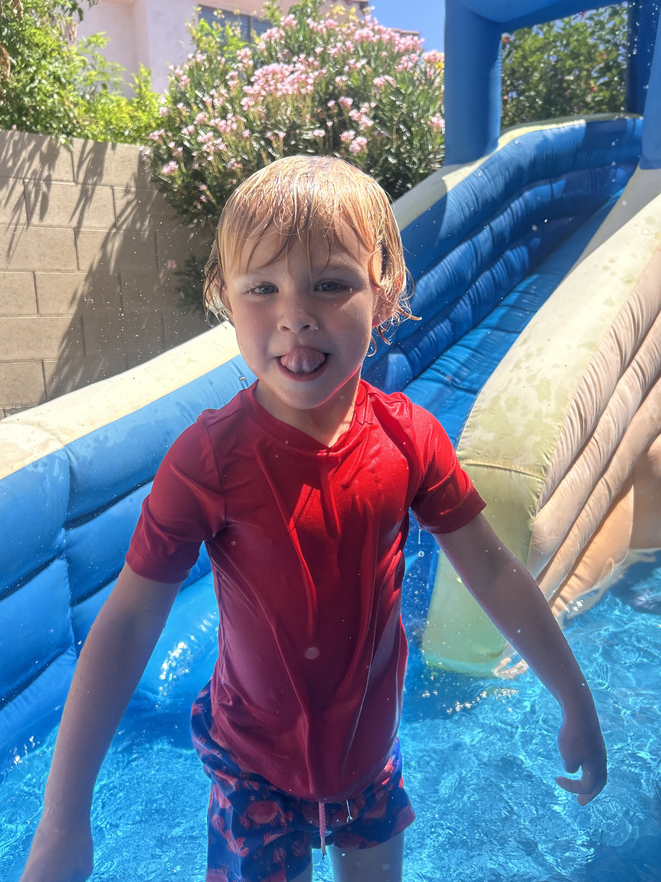 IMG_2438.jpeg