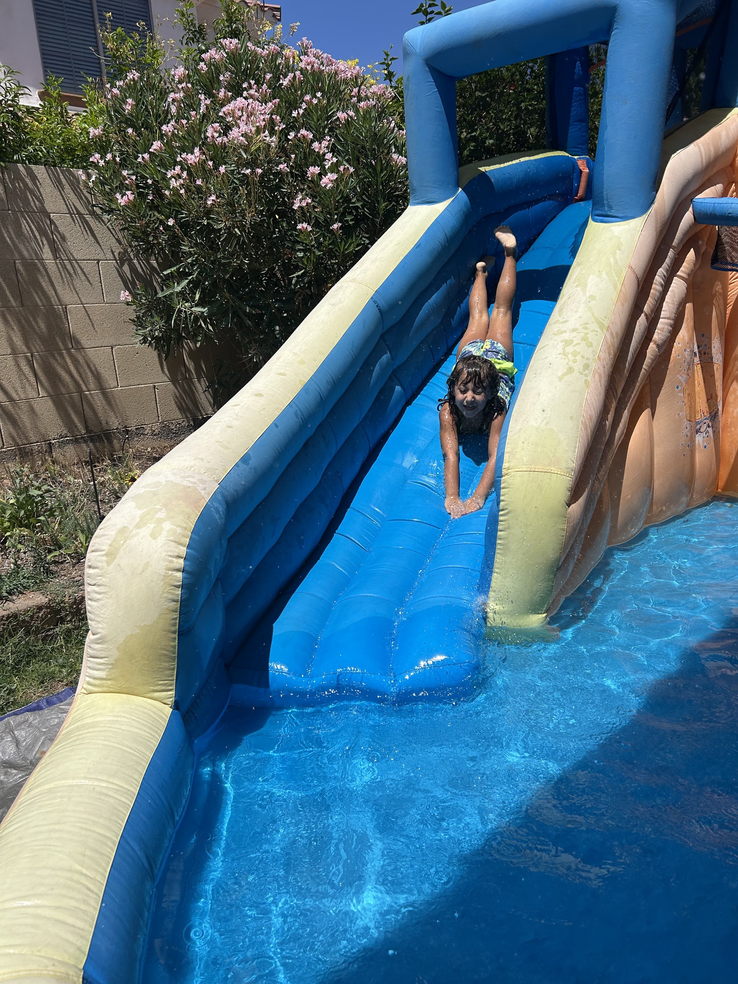 IMG_2650.jpeg