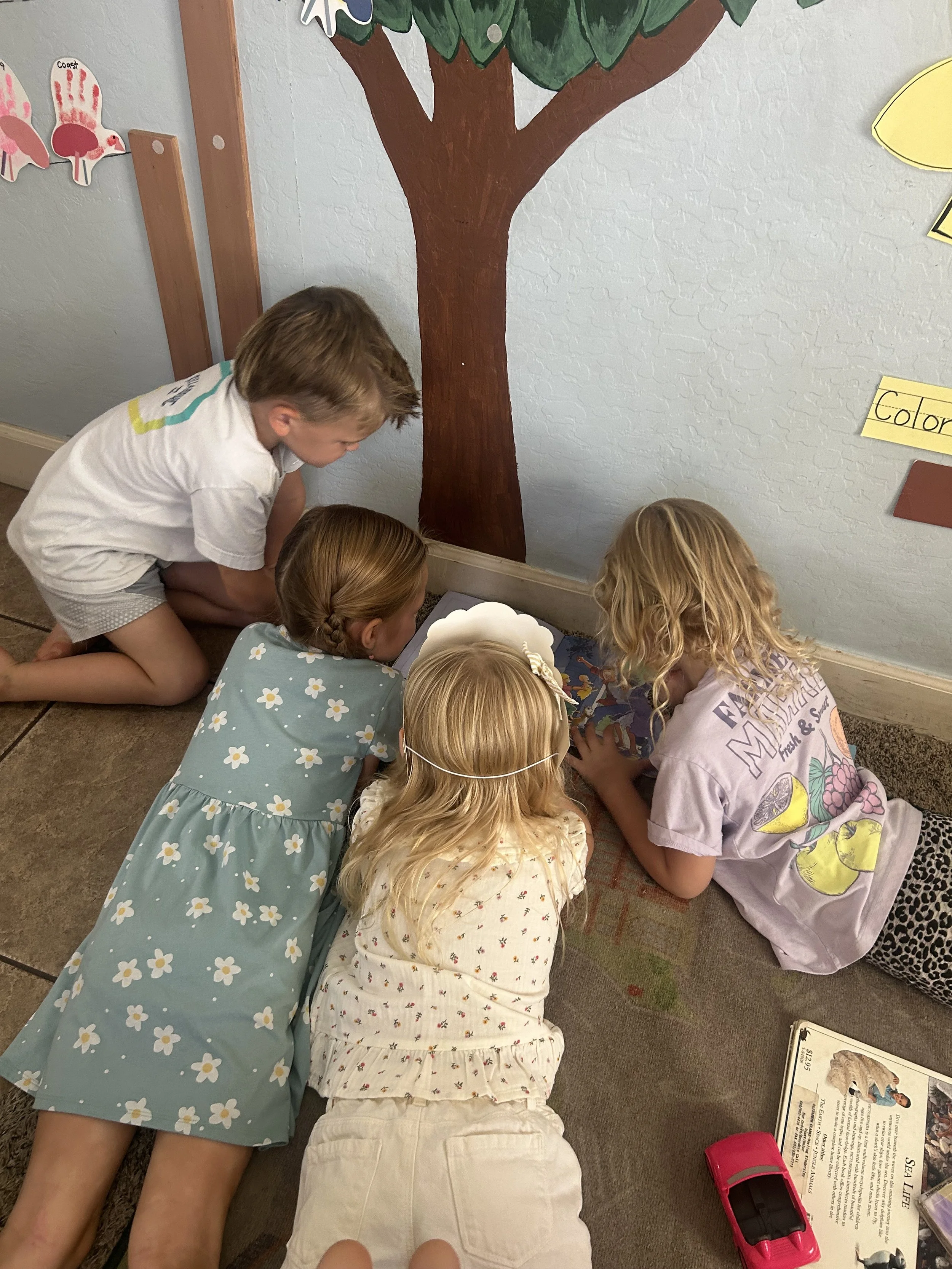 IMG_5047.jpeg