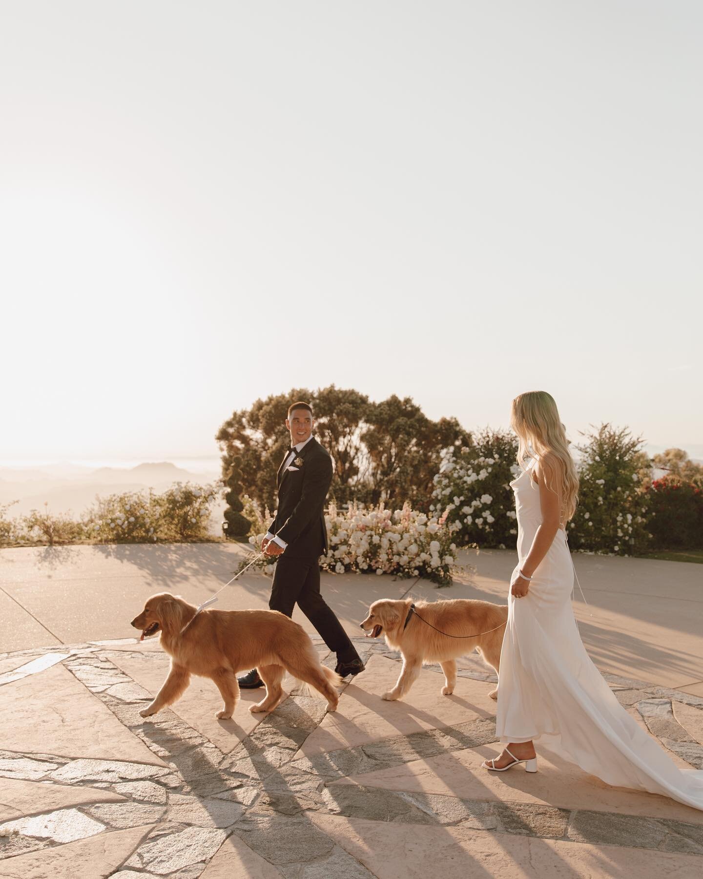 EEEEE yesterday was a DREAM so here&rsquo;s a little sneak into the magic 🫶🏼✨🌅

stay tuned bc I&rsquo;ll have loads more to share 🤍

#malibuweddingphotographer #malibuelopement #malibuwedding #malibucalifornia #shesaidyes #dreamwedding #malibuelo