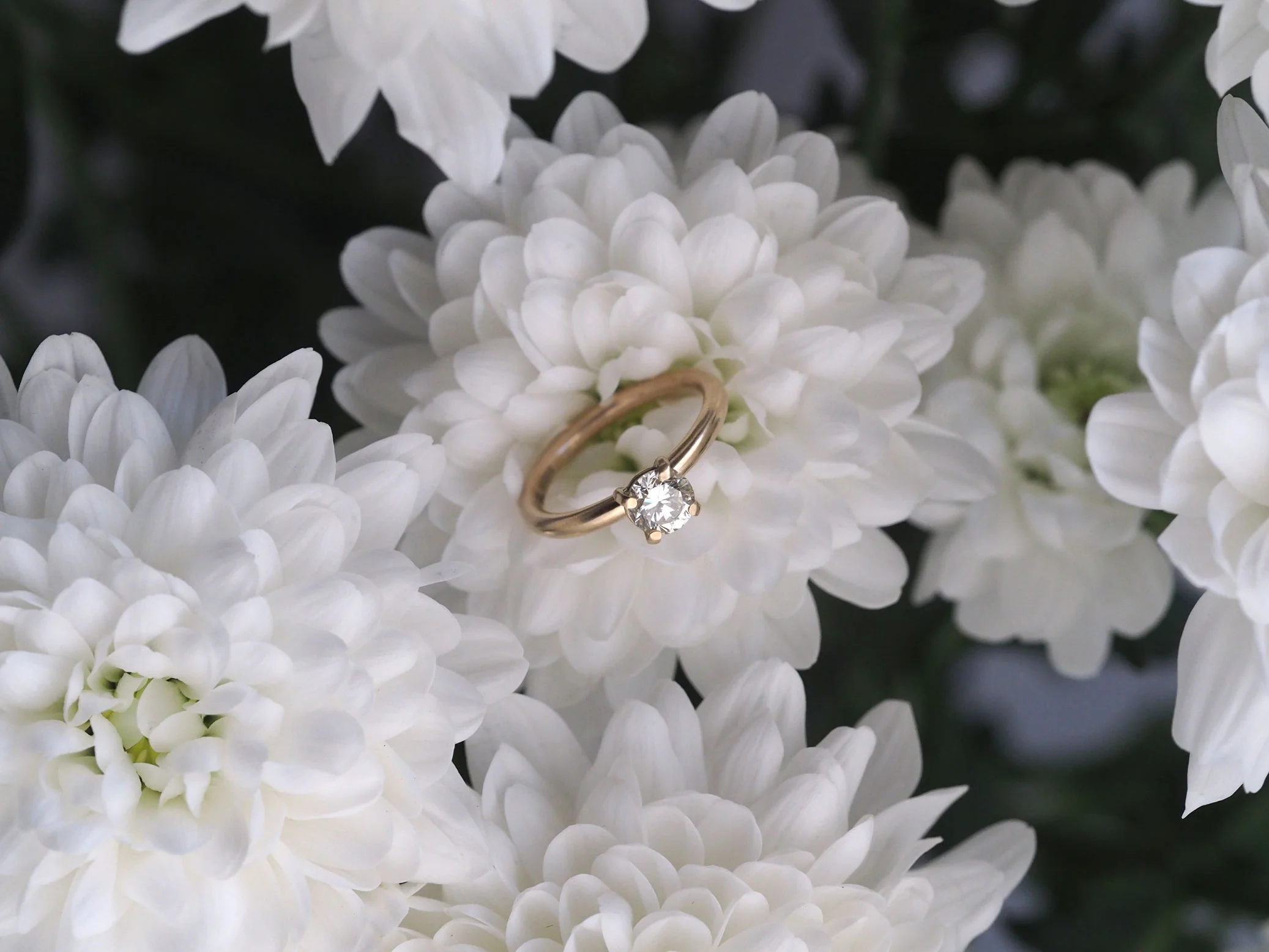 Floral-image-white-sapphire-9ct-gold-ring-web.jpg