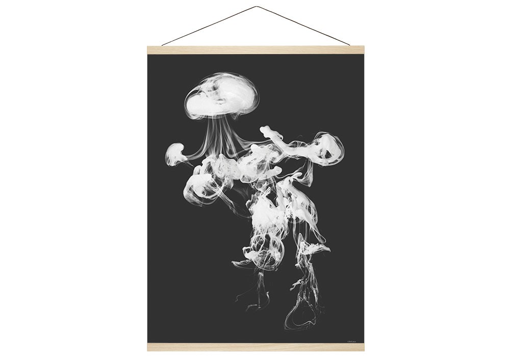 ChiCura_cf-1016_magnetic_frame_with_poster_51cm.jpg