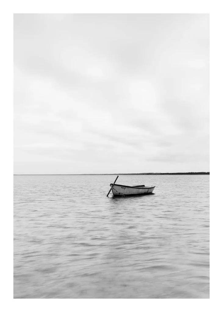 Design Cove Art Photography Collection (205).jpg