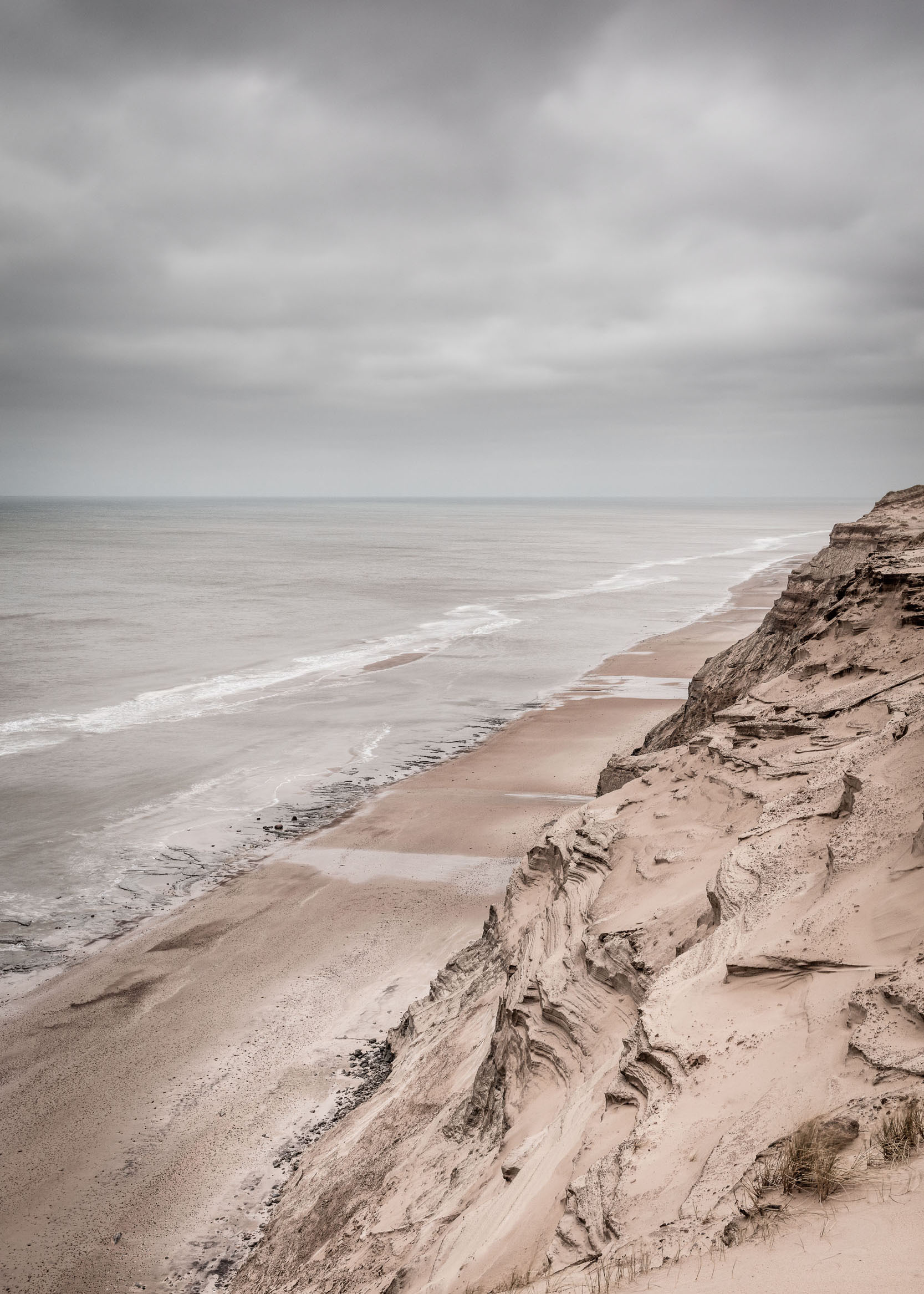 Design Cove Photography (140).jpg