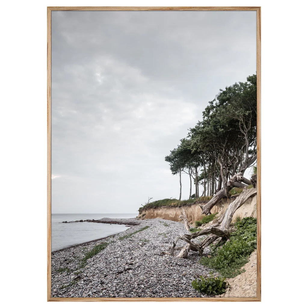 Design Cove Photography (151).jpg