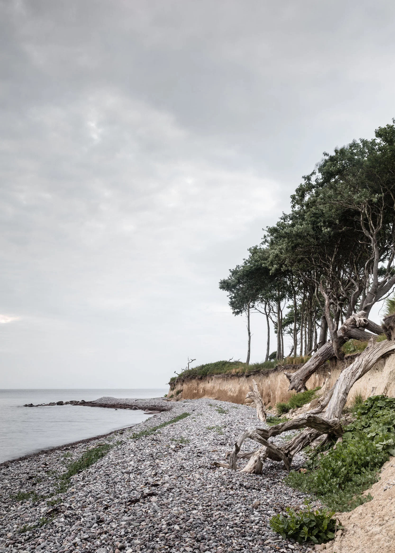 Design Cove Photography (152).jpg