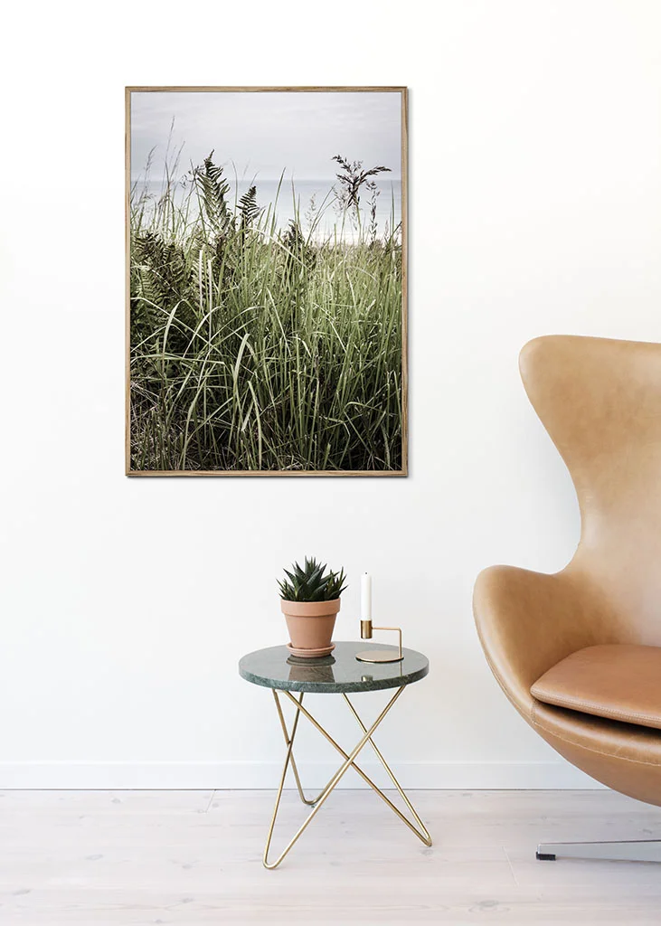Design Cove Photography colection (70 a).jpg