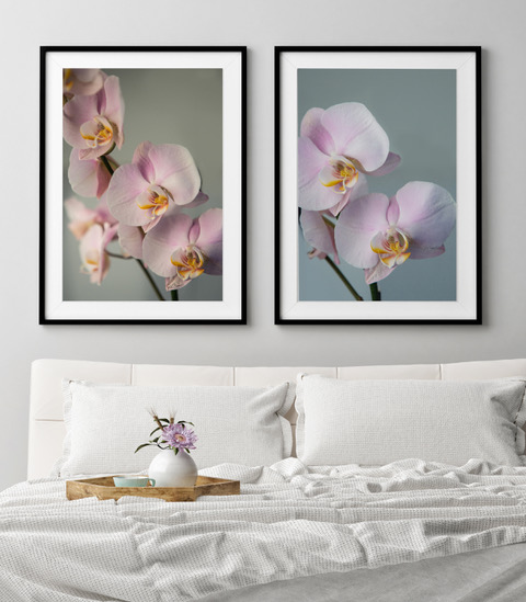 Design Cove Art Photography (5).jpeg