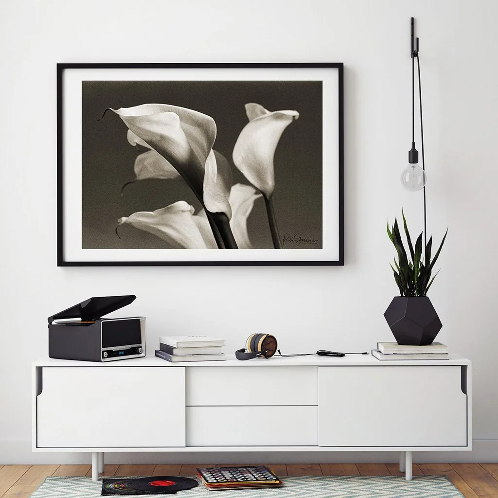 Design Cove Art Photography 4.jpg