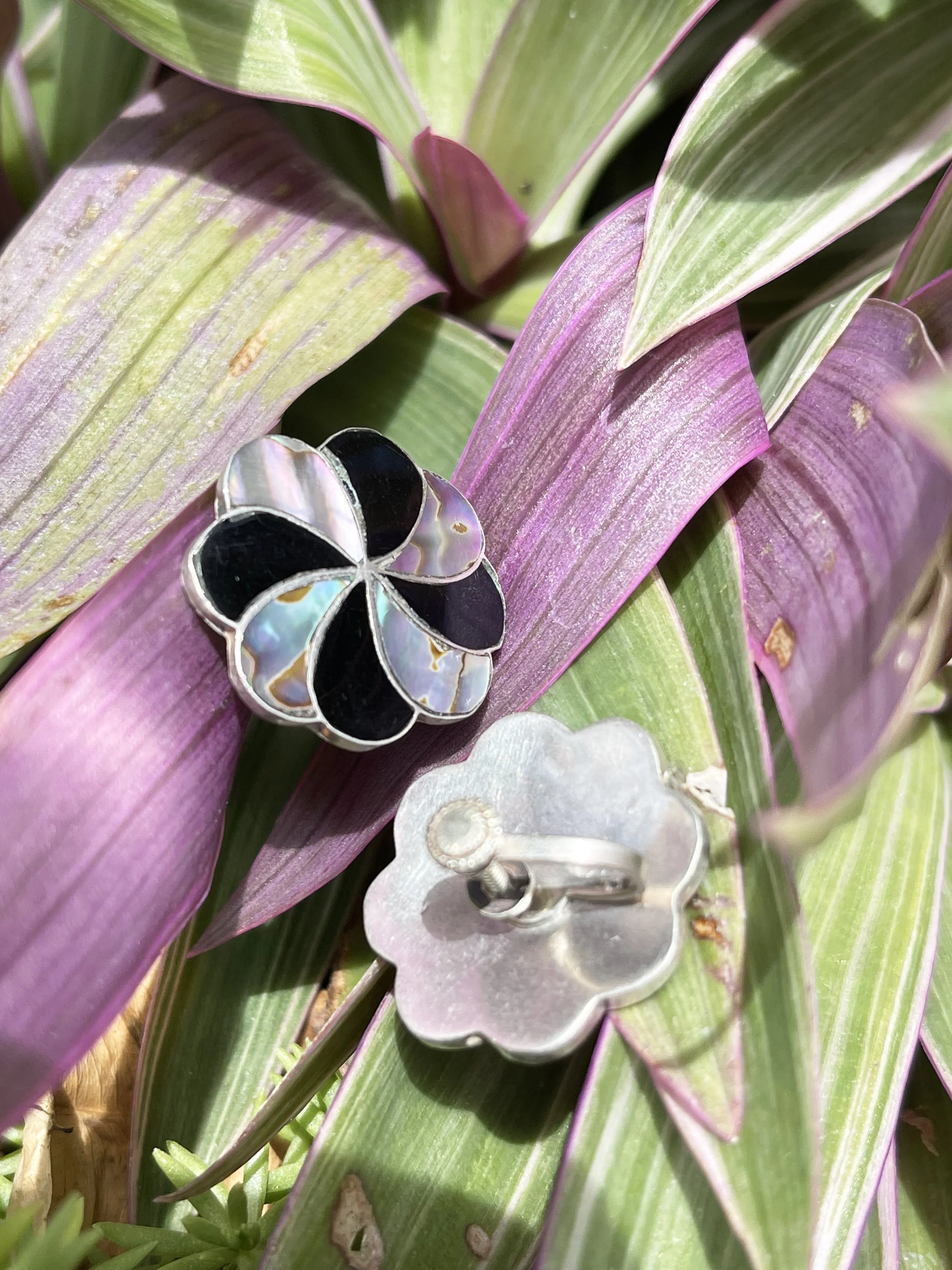 Abalone earrings 3.jpg