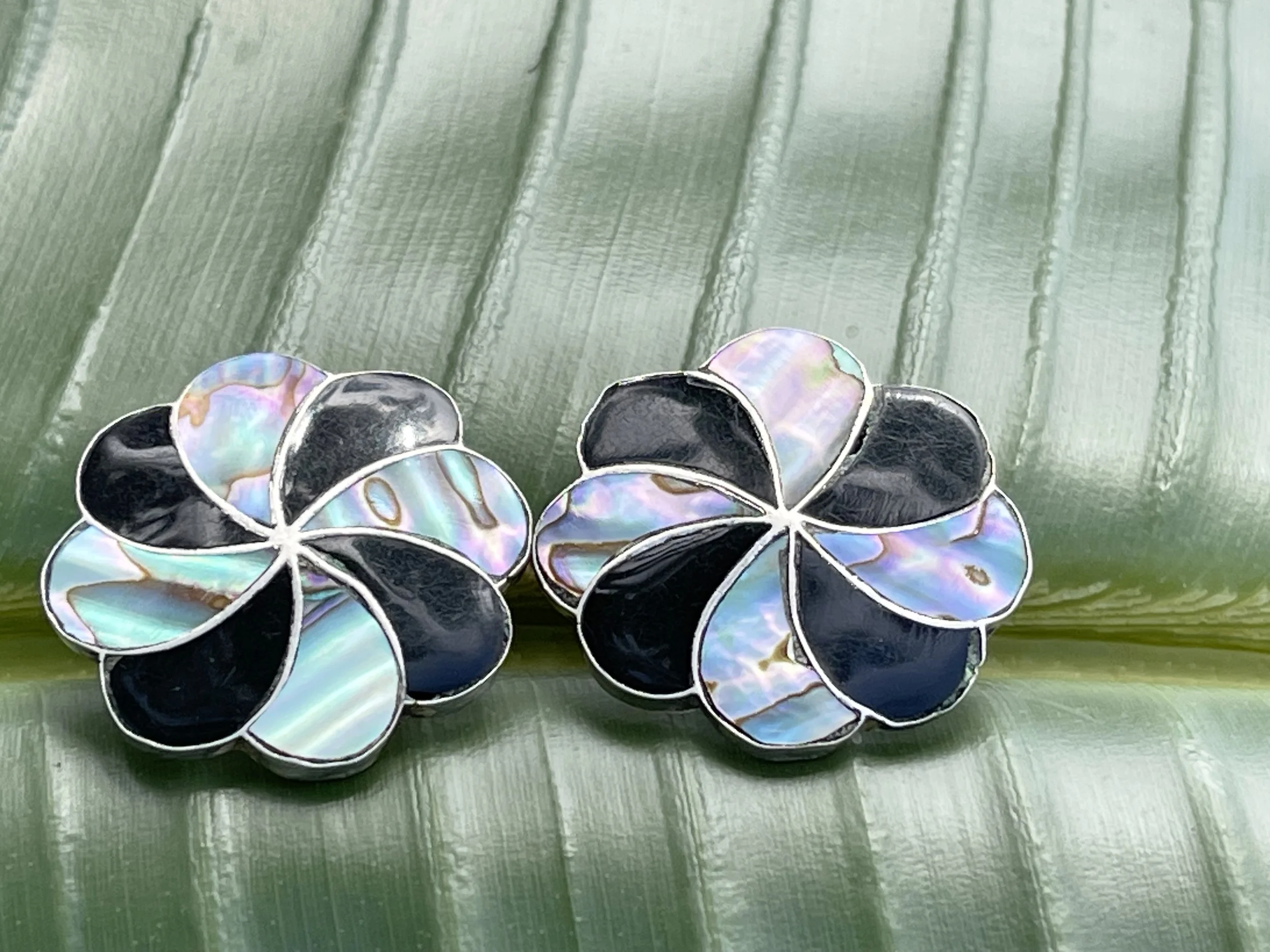 Abalone earrings 2.jpg
