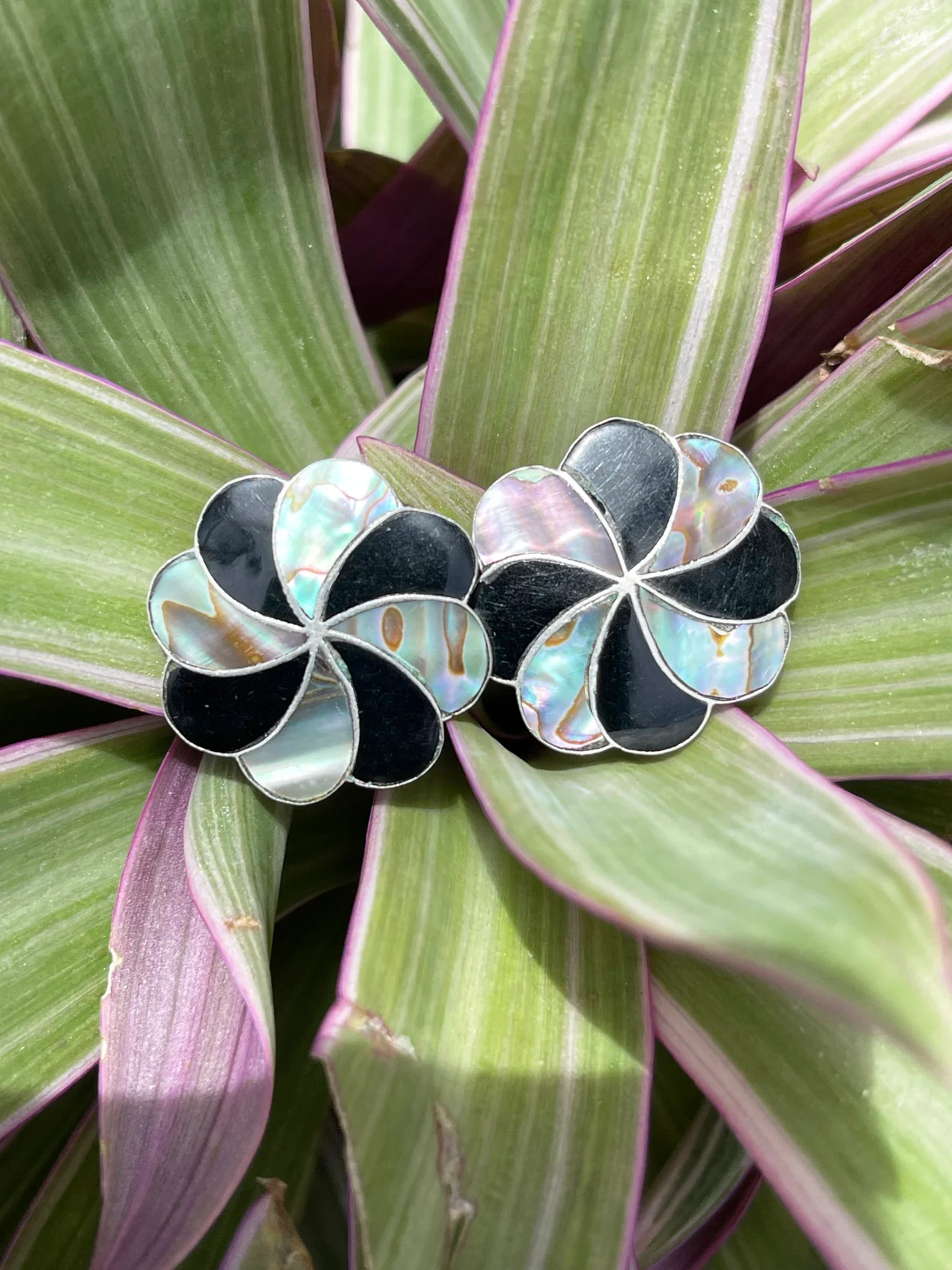 Abalone earrings 1.webp