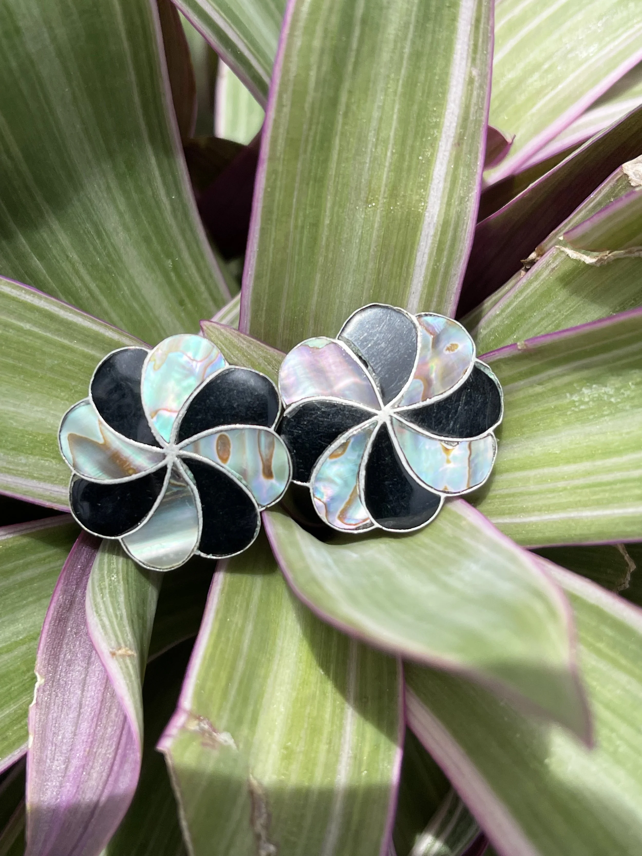 Abalone earrings 1.jpg