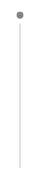 line.png