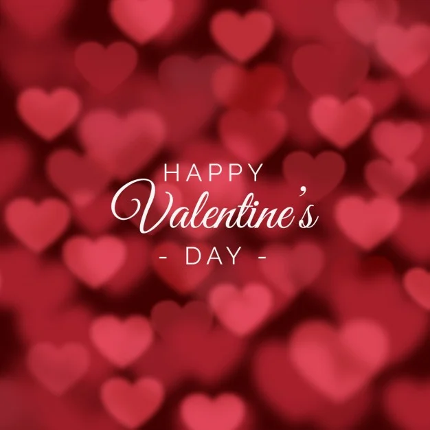 Valentines Day Sale 