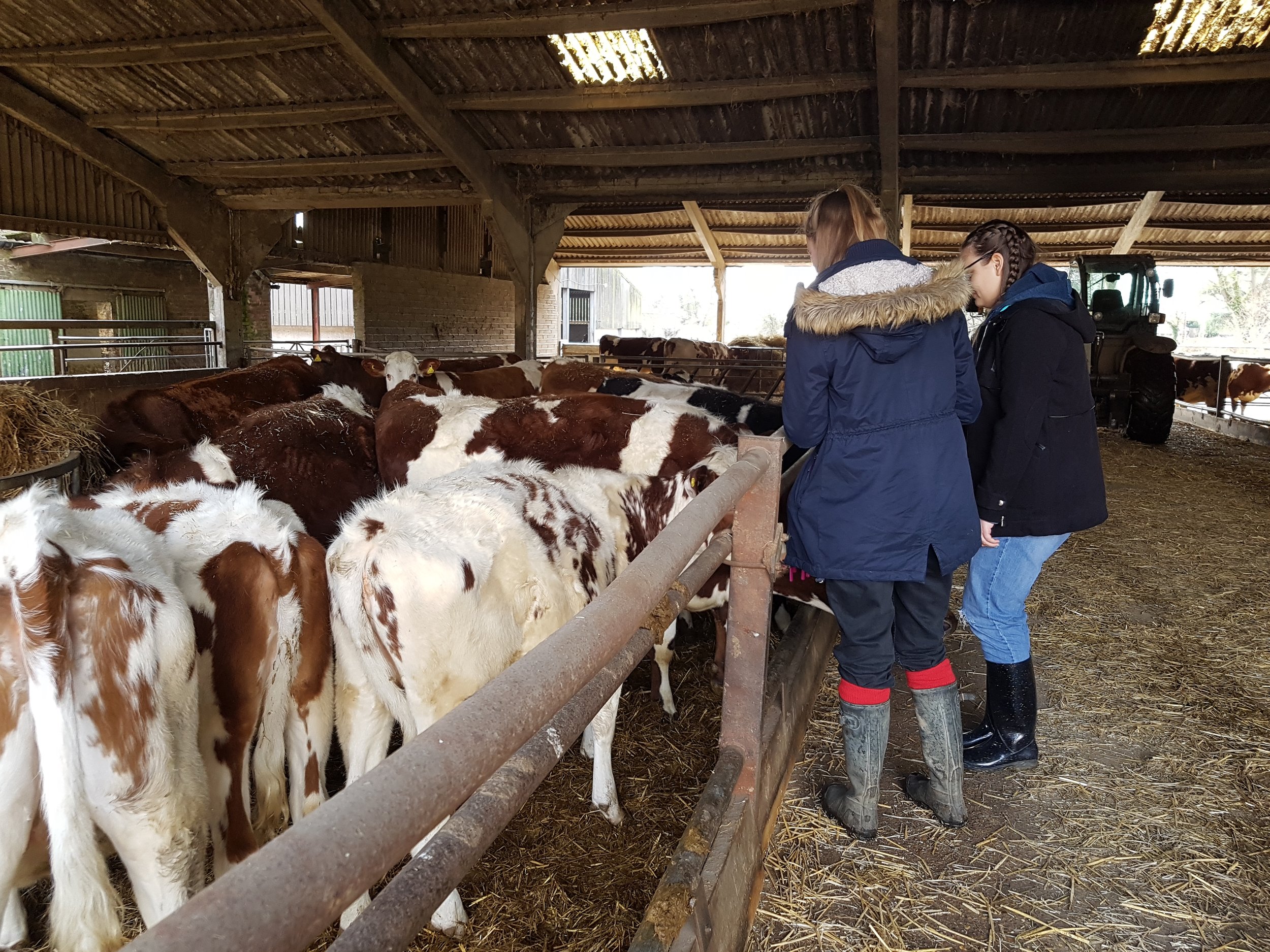 Farm Field Trip 