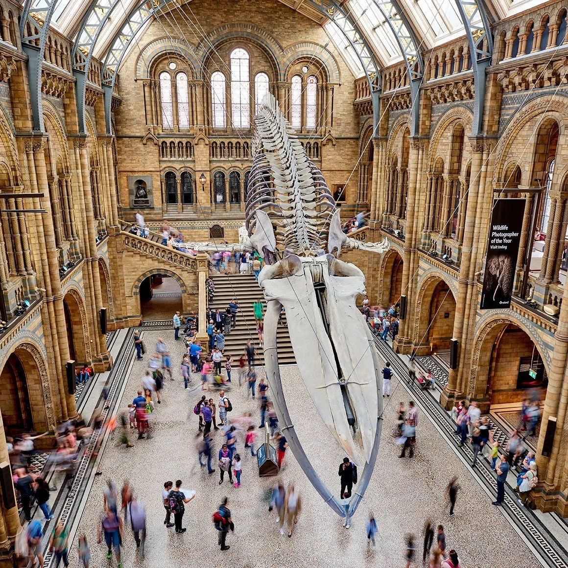 Natural History Museum visit