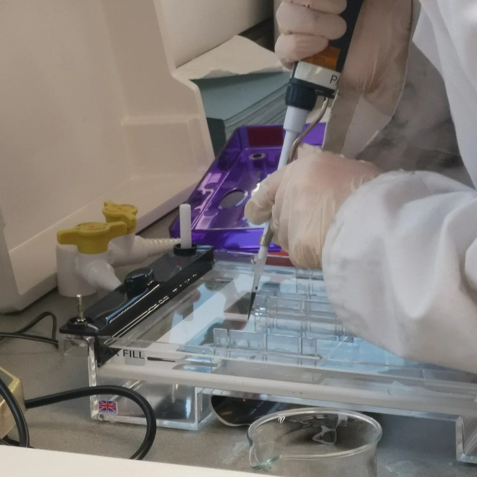 As part of our Forensic Science Enrichment, students took part in a practical session focused on DNA analysis, gaining valuable experience in modern laboratory techniques.

They explored state-of-the-art methods including Polymerase Chain Reaction (P