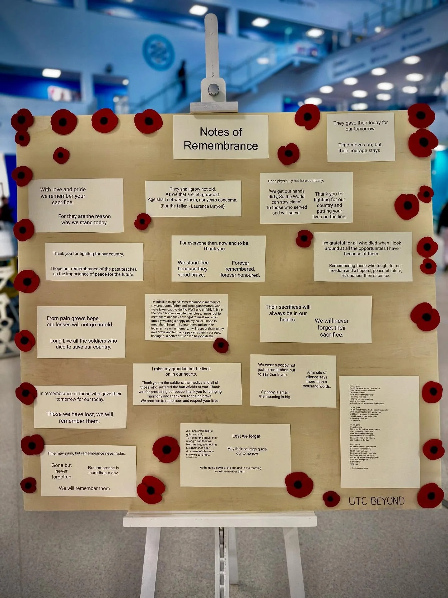 Today, we remember.

We pause to honour the courage, sacrifice, and service of all those who gave their lives in conflict - and those who continue to serve today.

As part of UTC Beyond, our students have spent this past week reflecting on the import