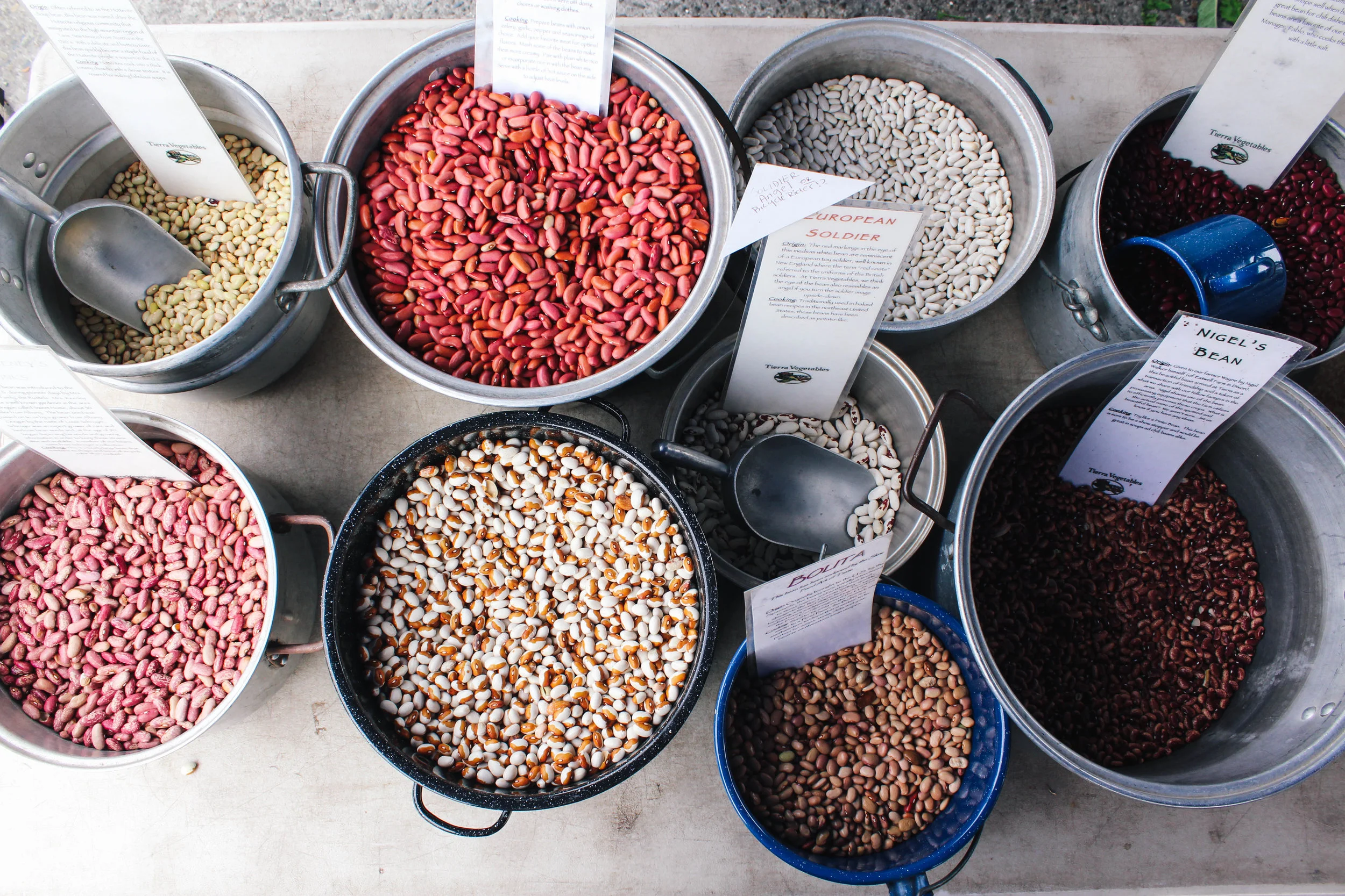 farmers_market-20.jpg