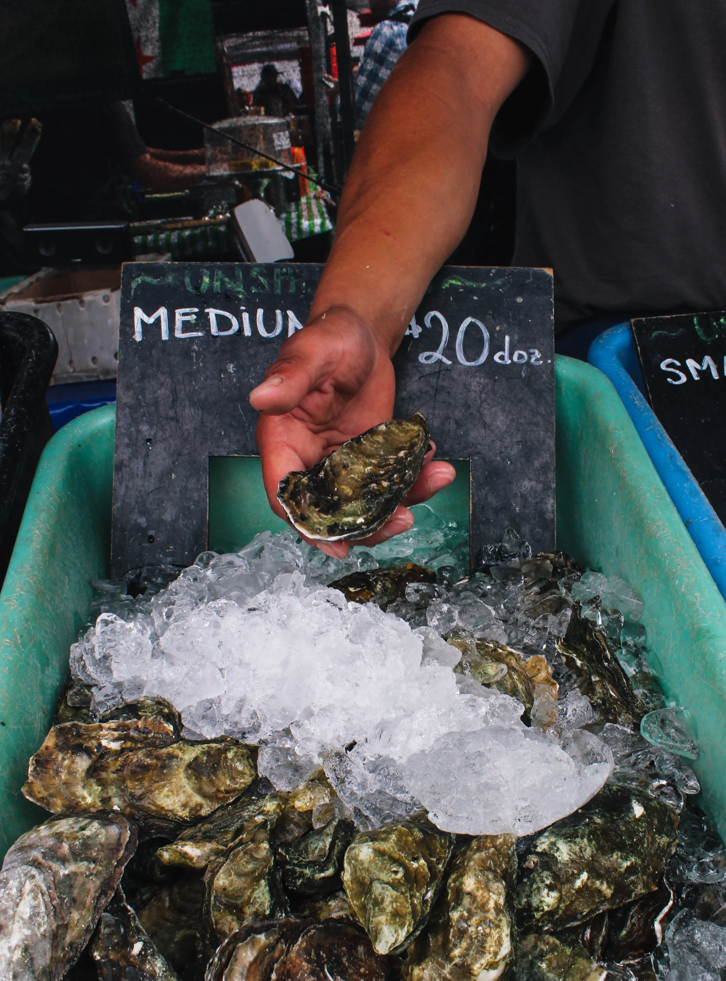 farmers_market-31.jpg