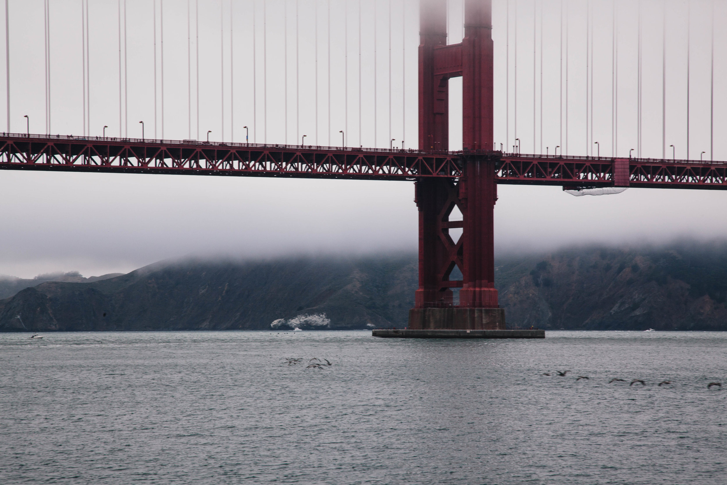 Crissy Field-10.jpg