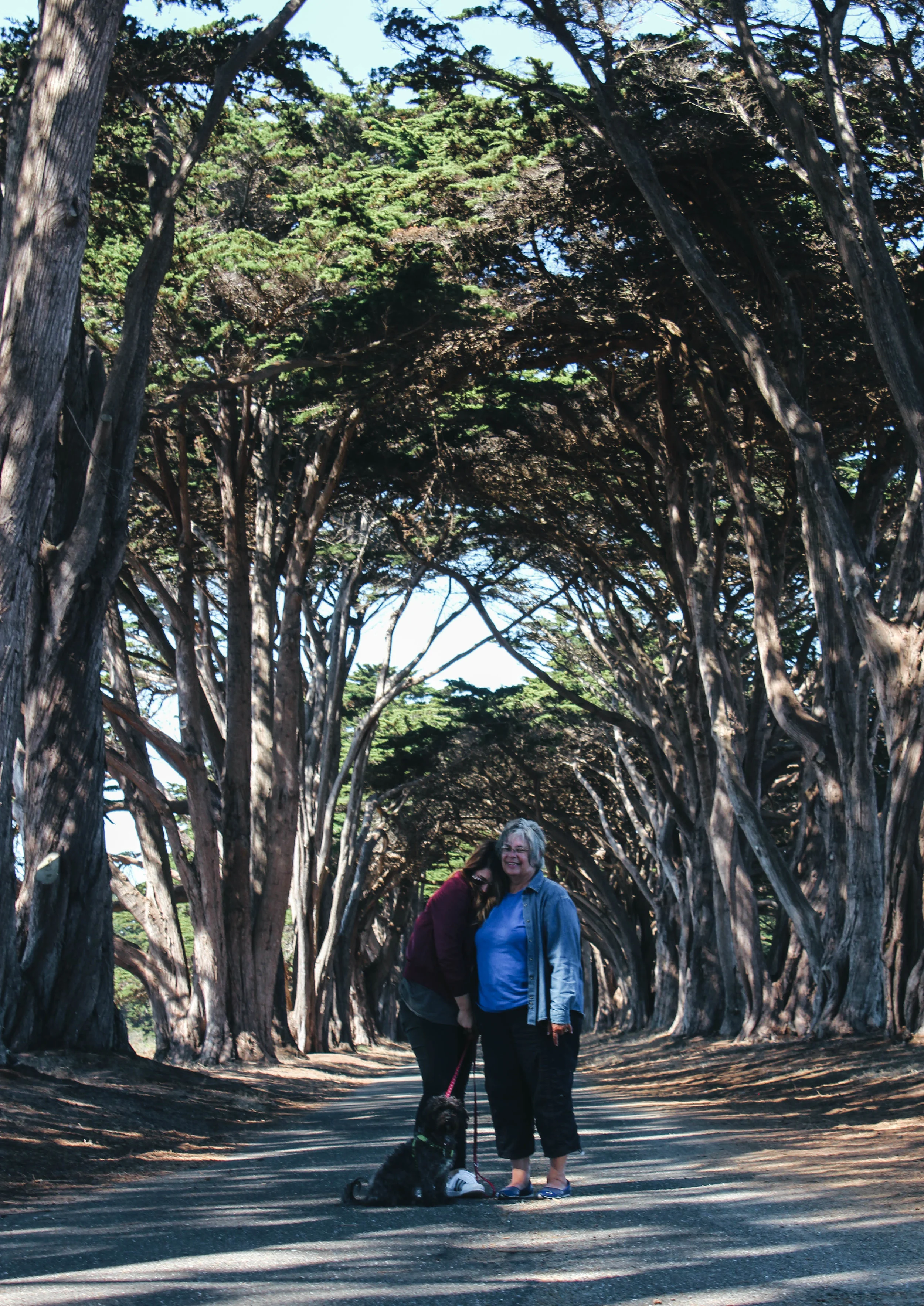 pt reyes-1.jpg