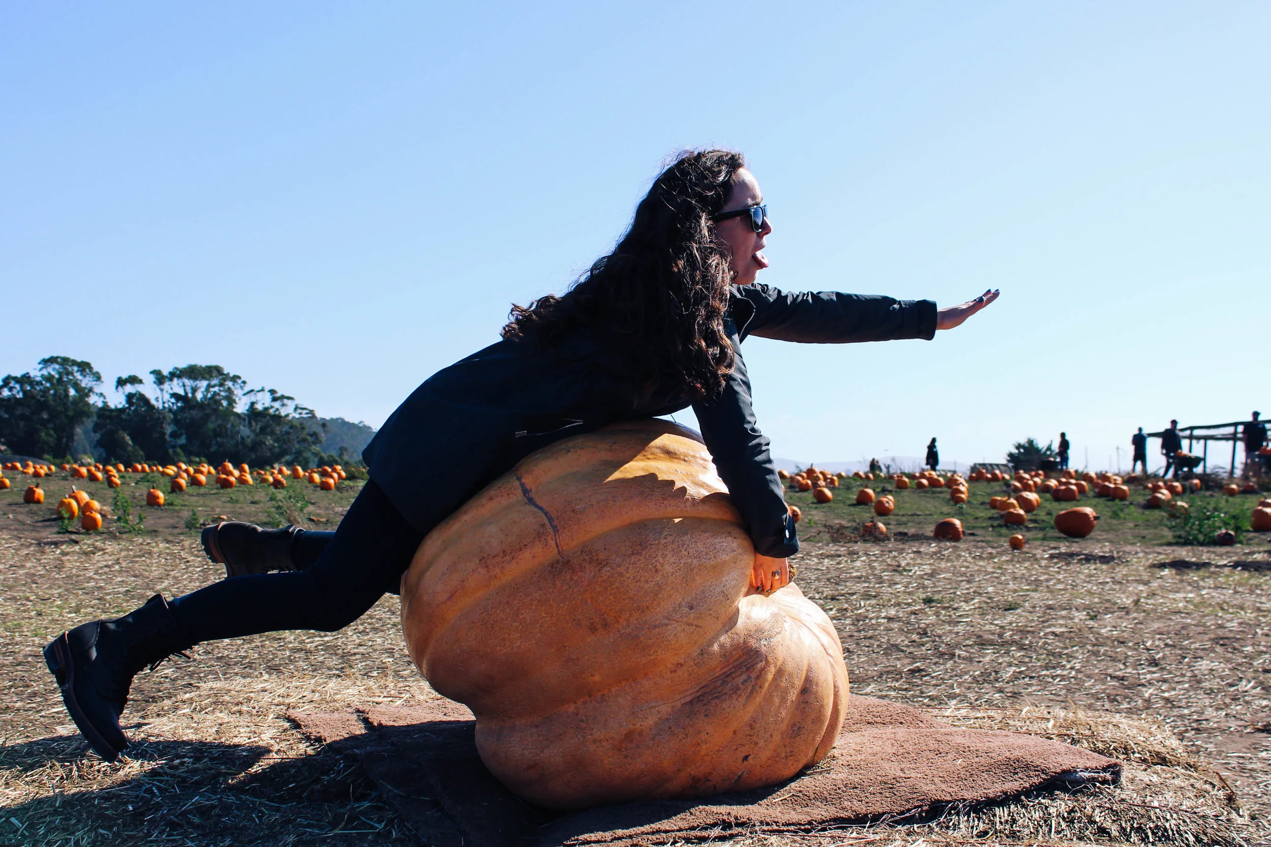 pumpkin-2.jpg