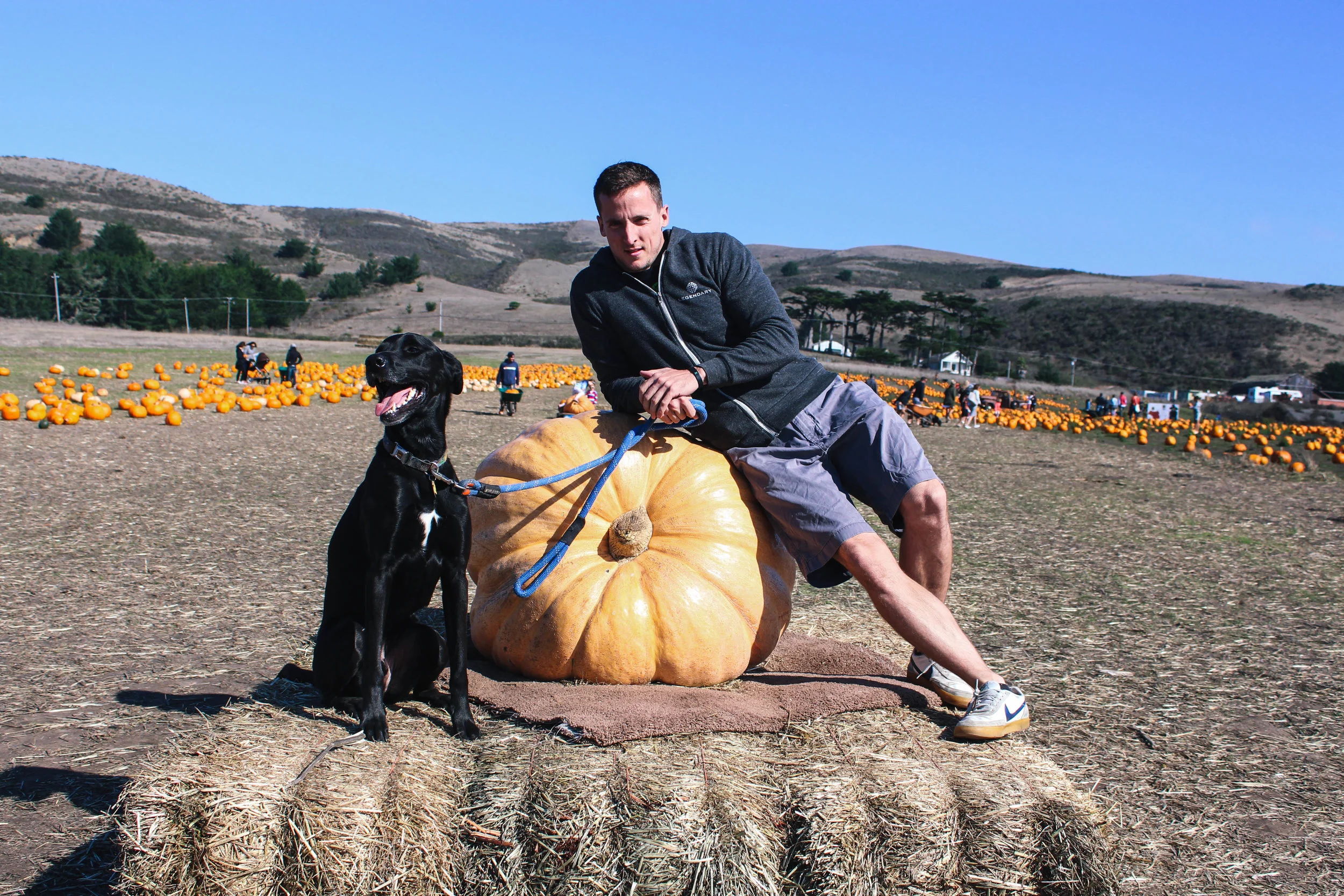 pumpkin-1.jpg