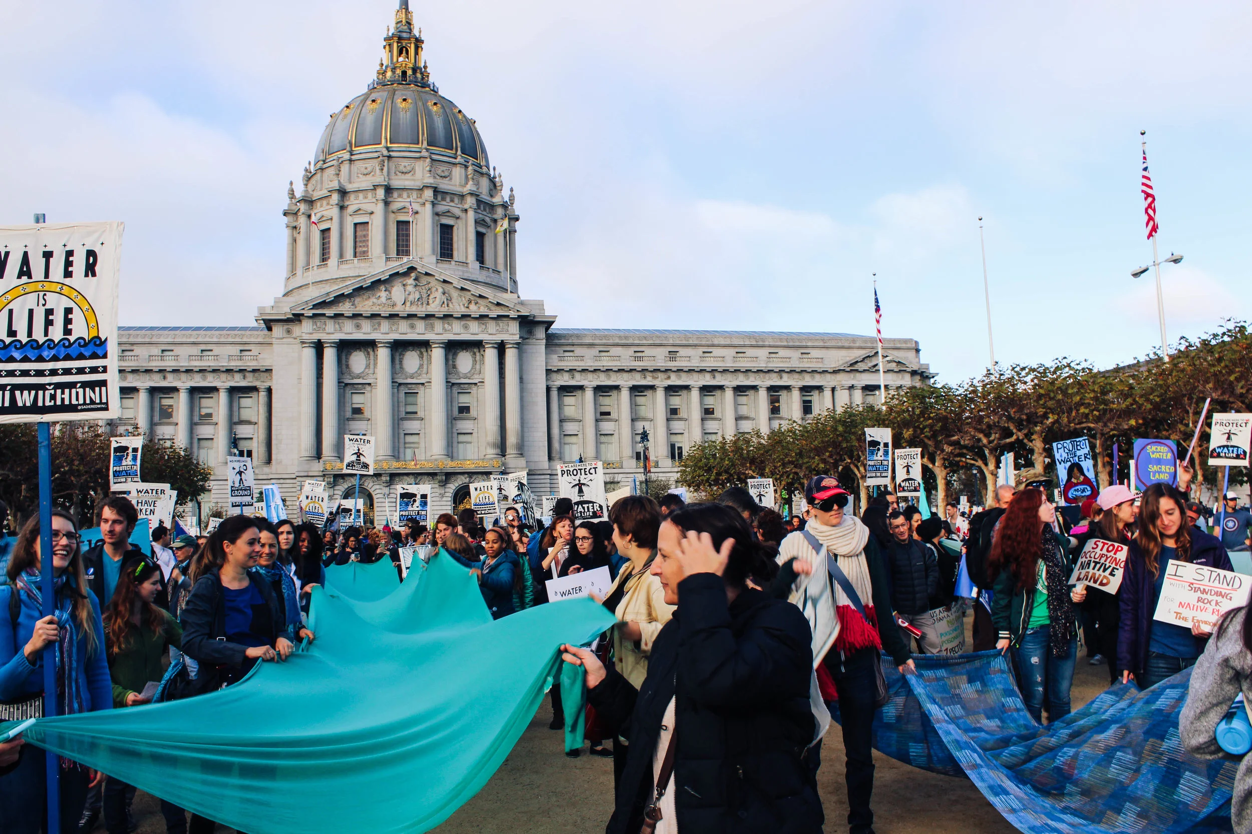 DAPL-5.jpg