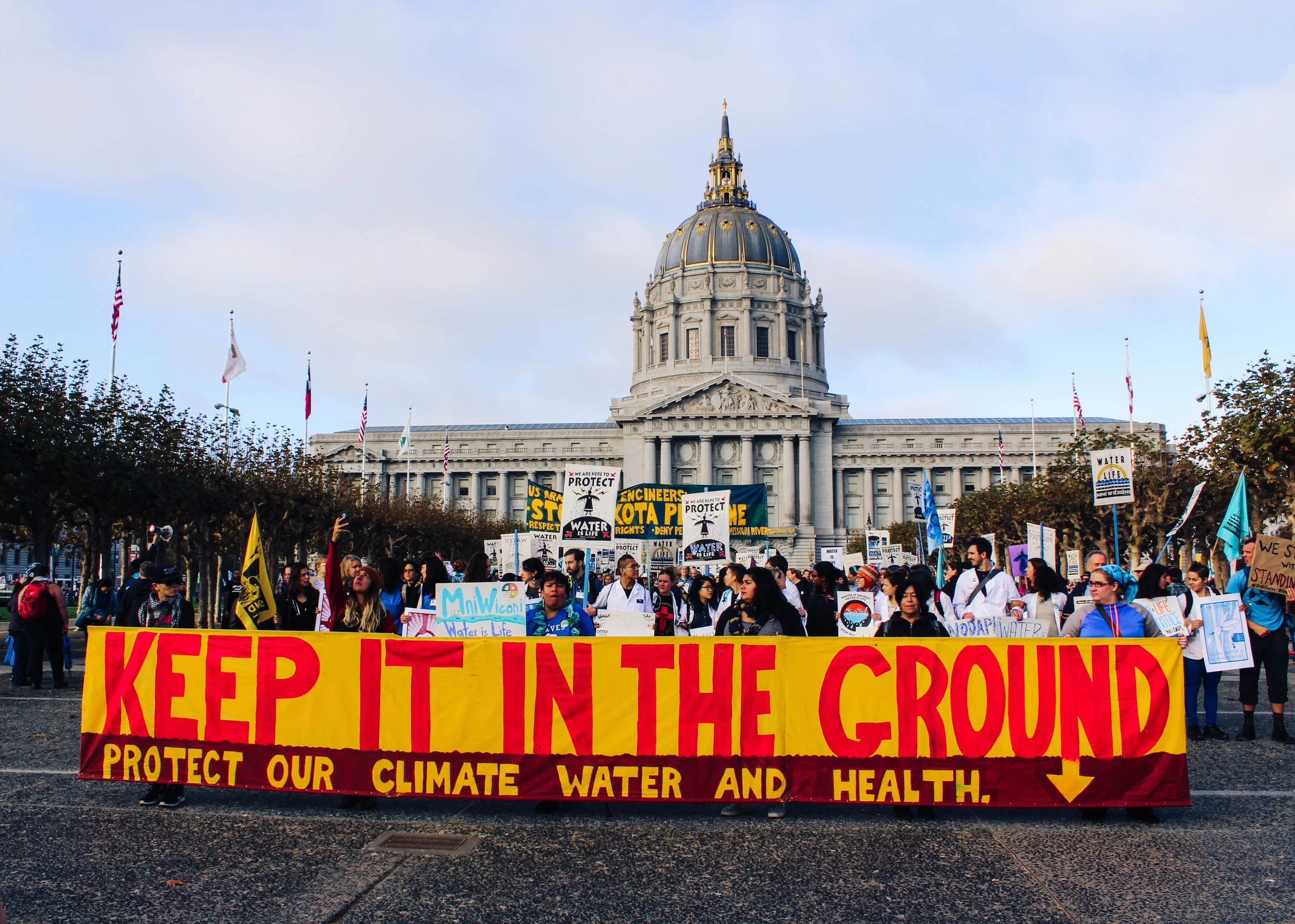 DAPL-7.jpg