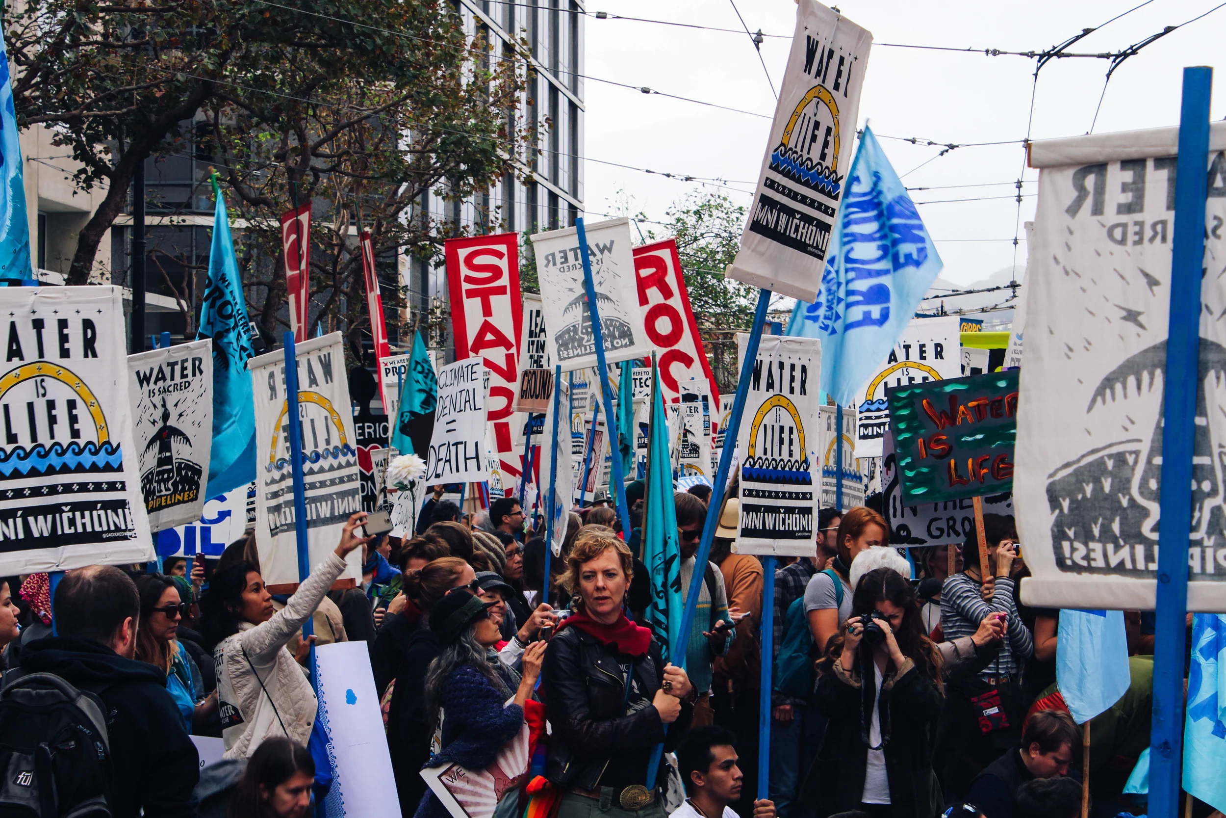 DAPL-15.jpg
