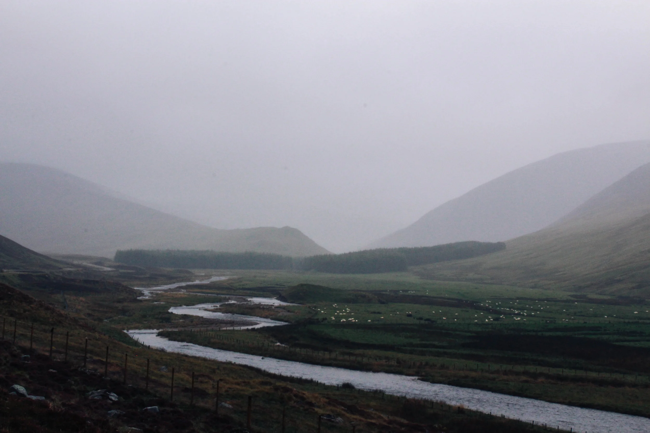 highlands-51.jpg
