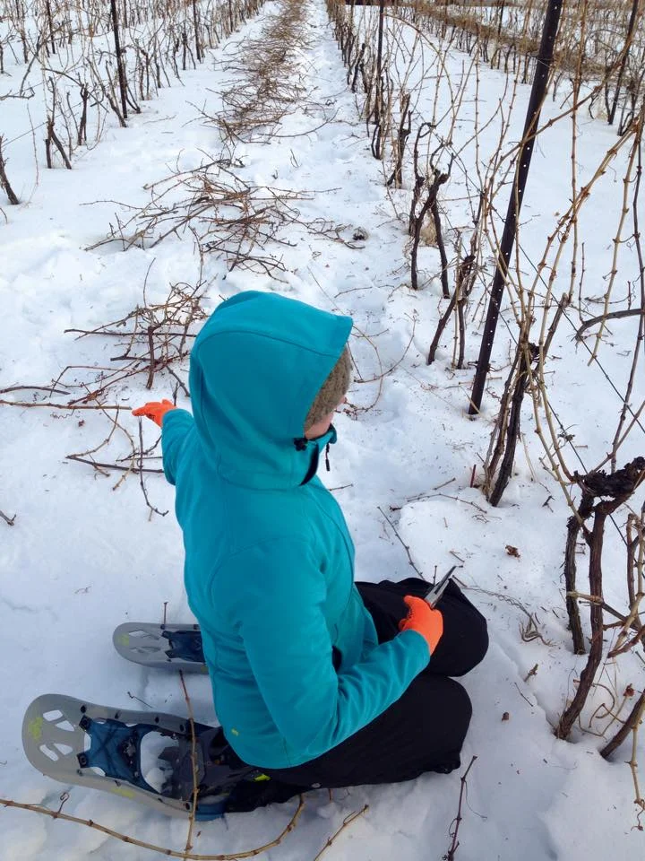 Katiepruning.jpg