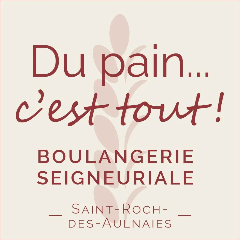 Levure instaferm Lallemand