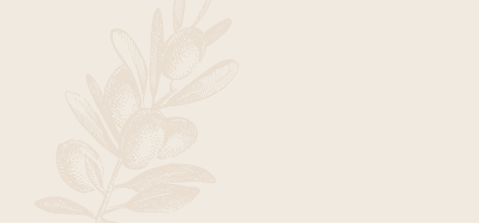 Homepage-Shop.png