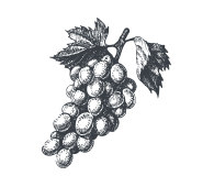 Ingredient-Grapeseed-Oil.png