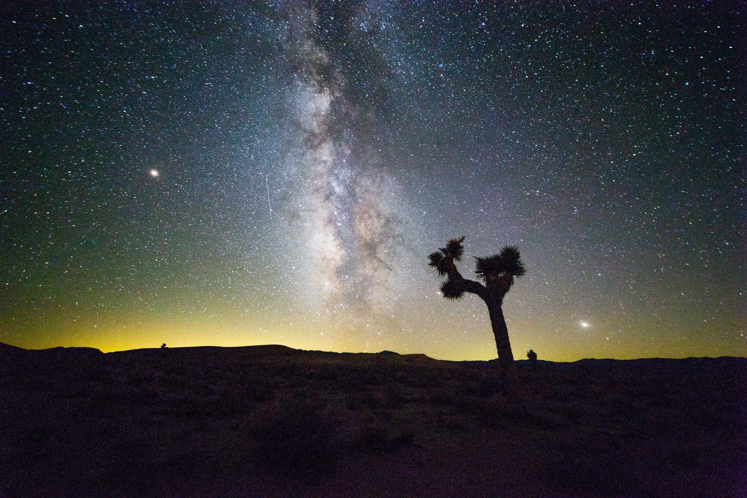 The center of the galaxy soars over a Joshua Tree outside of Death Valley