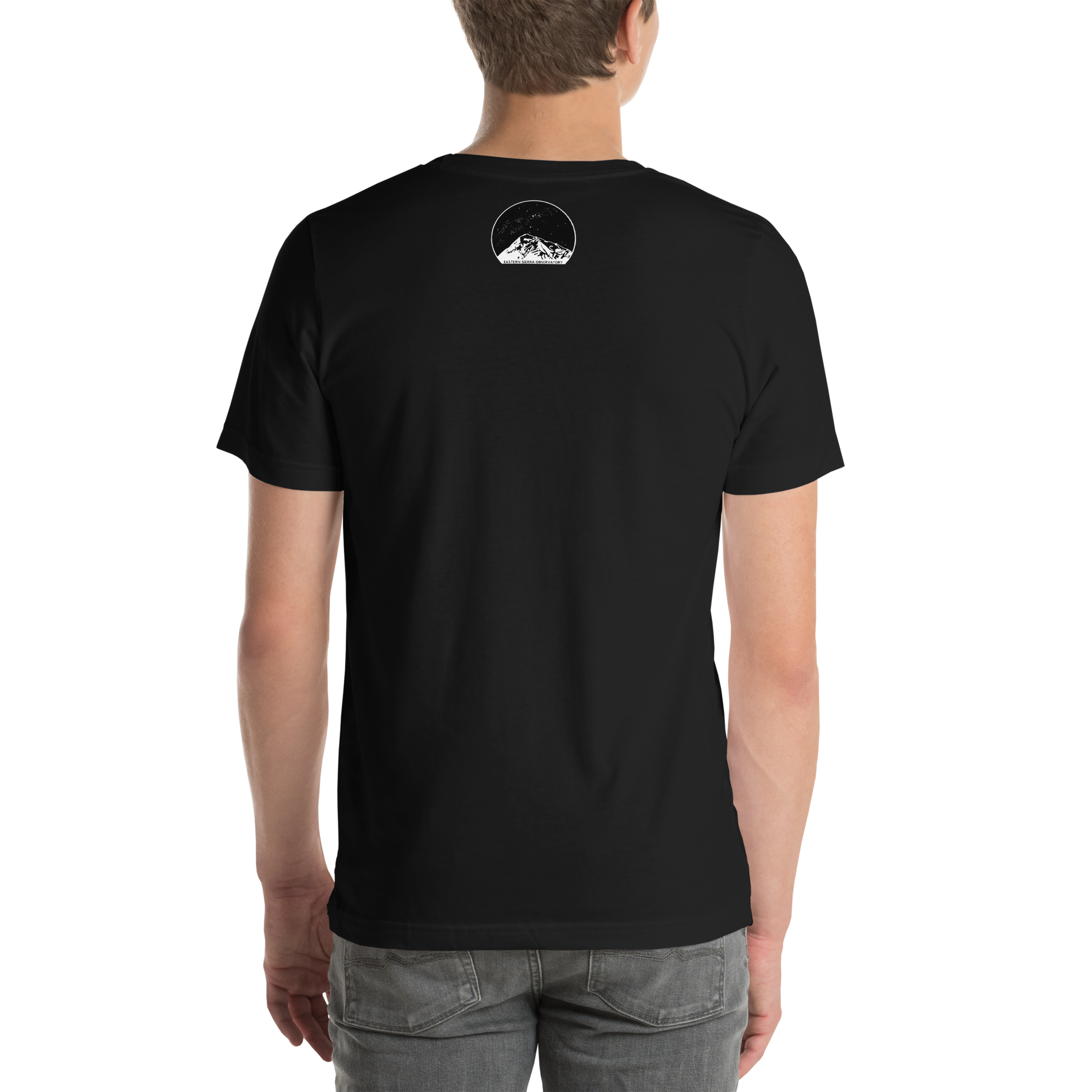 unisex-staple-t-shirt-black-back-69e12e905fd08.png