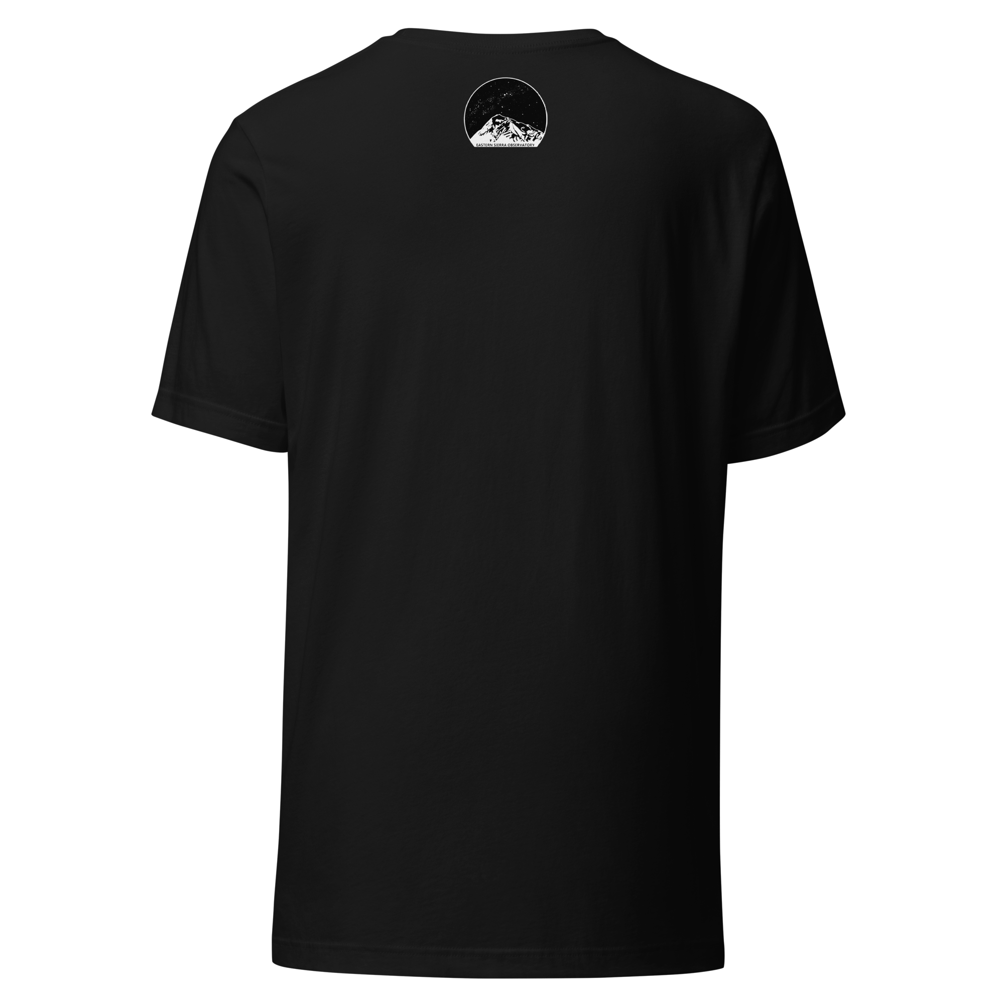 unisex-staple-t-shirt-black-back-69e12f1fd99d4.png