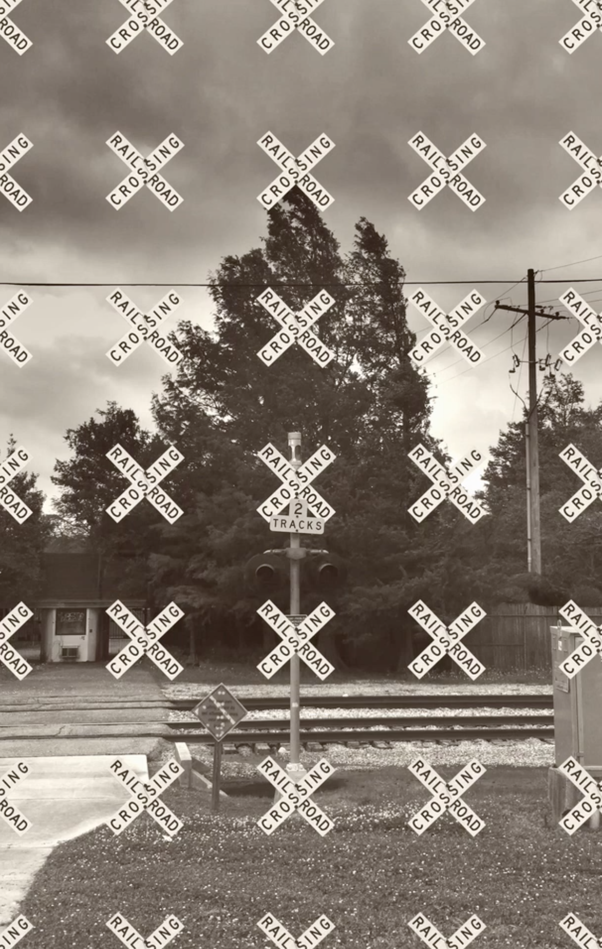 Screen Shot 2019-04-26 at 1.18.16 PM.png