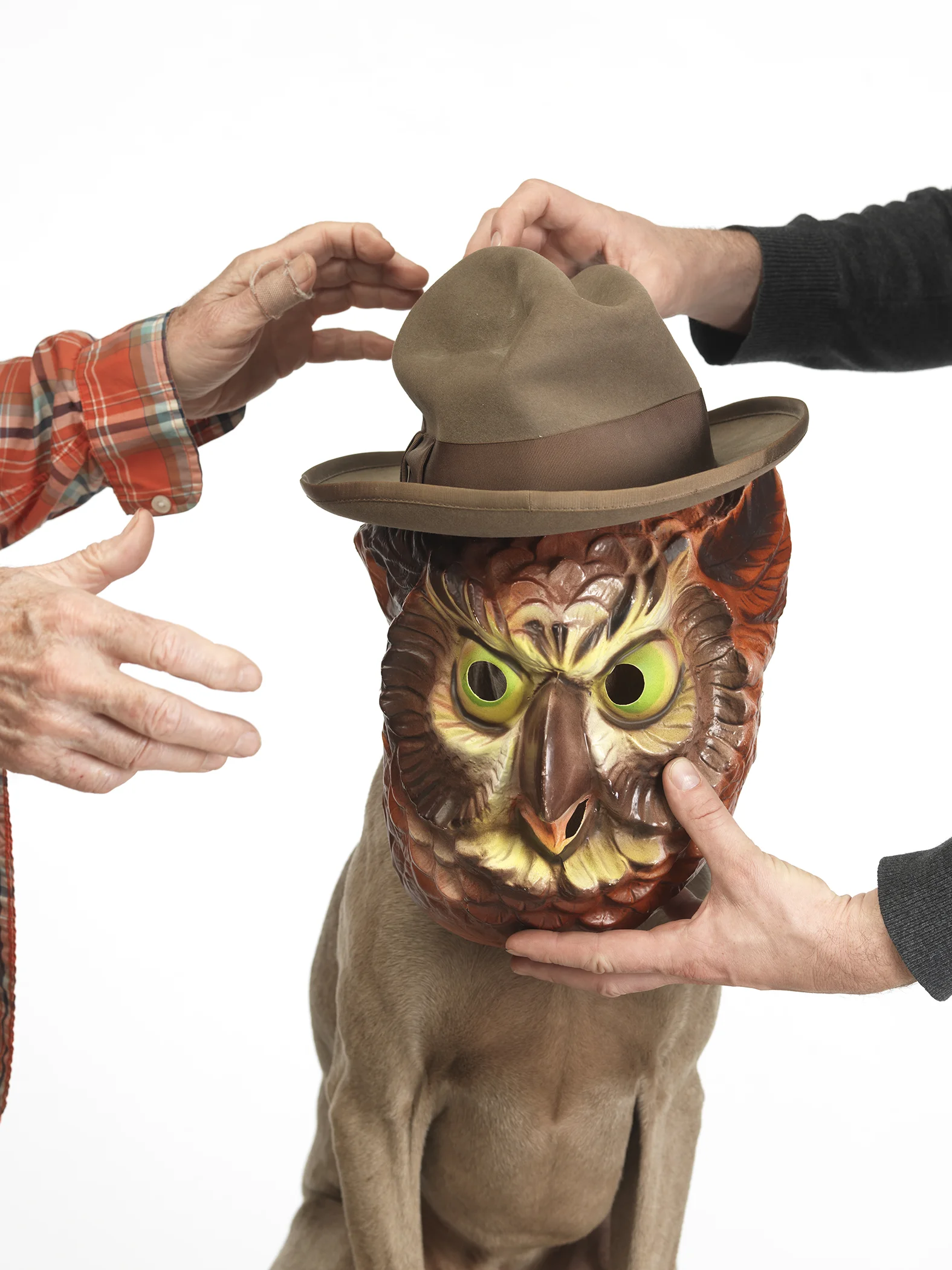 EILEEN_MYLES_WILLIAM_WEGMAN_ON:ALIENS!.jpg