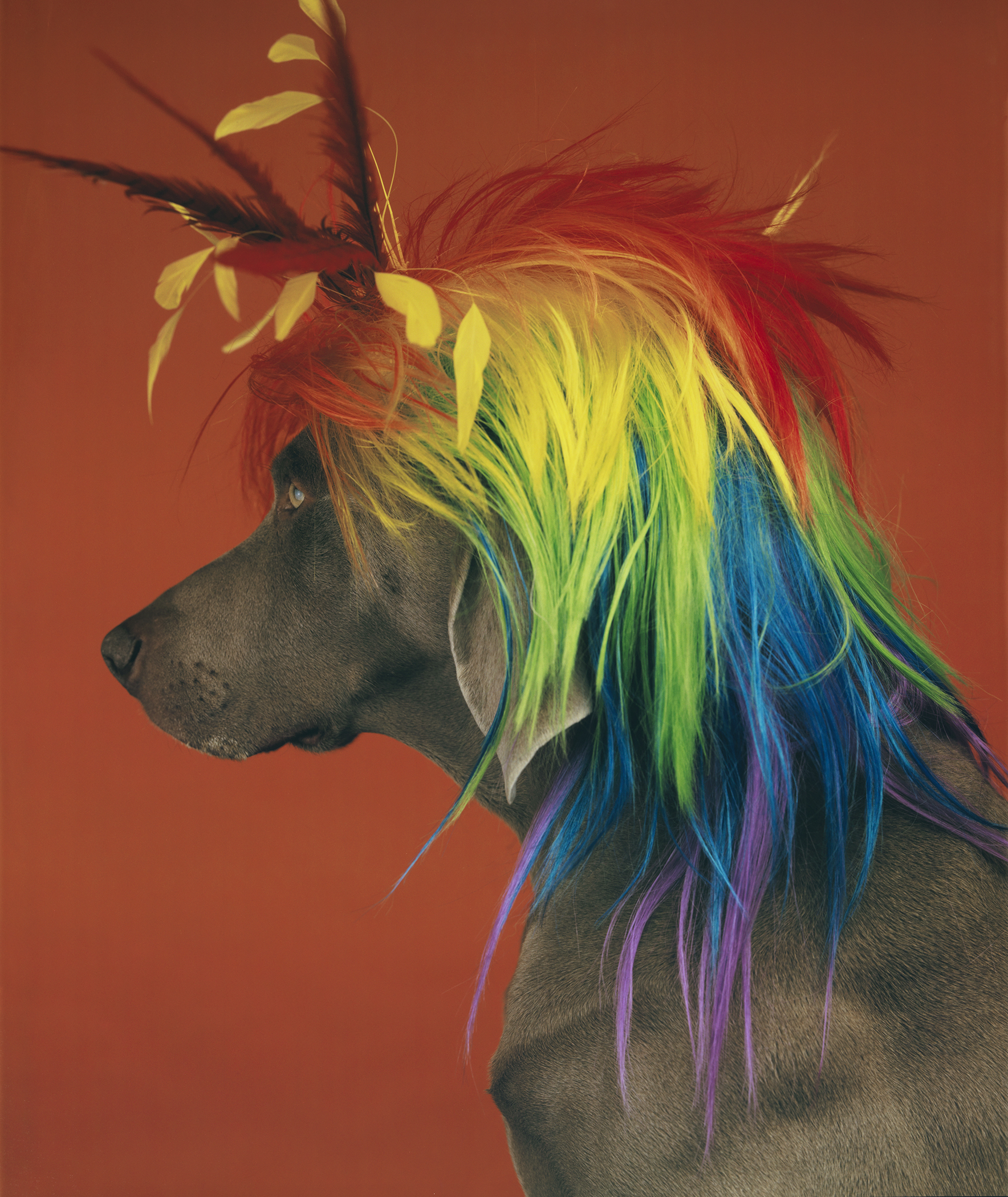 DESMOND_IS_AMAZING_WILLIAM_WEGMAN_ON:ALIENS!.jpg