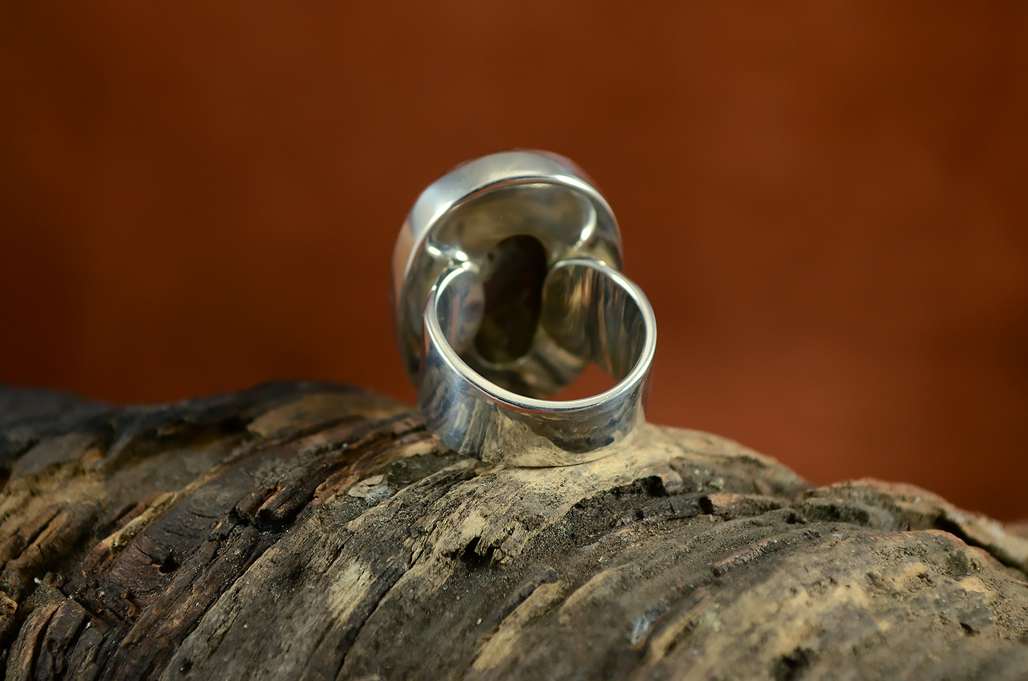 DSC_6541.jpg